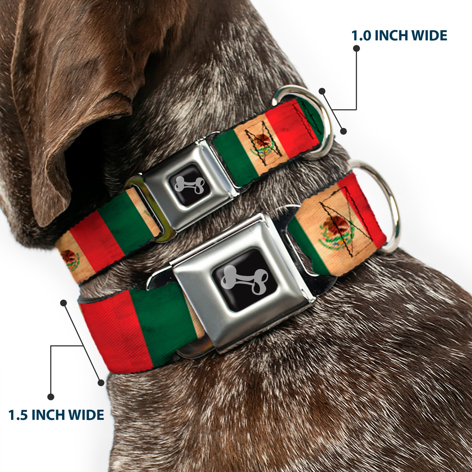 Dog Bone Black/Silver Seatbelt Buckle Collar - Mexico Flag Continuous Vintage Seatbelt Buckle Collars Buckle-Down