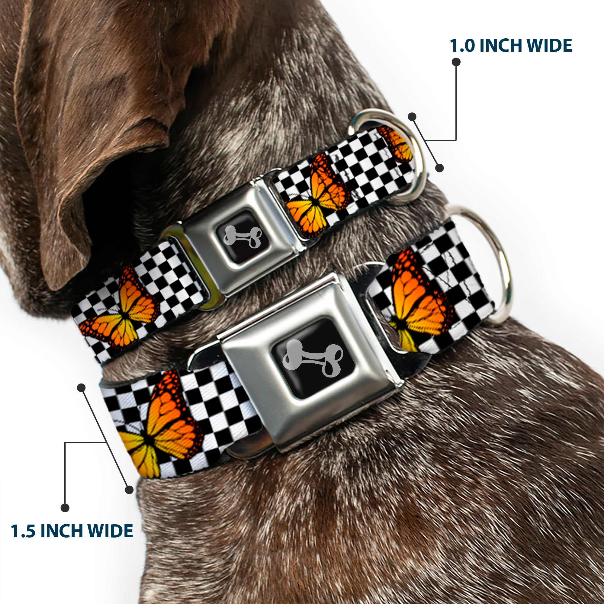 Dog Bone Black/Silver Seatbelt Buckle Collar - Monarch Butterfly Scattered Checker Black/White Seatbelt Buckle Collars Buckle-Down