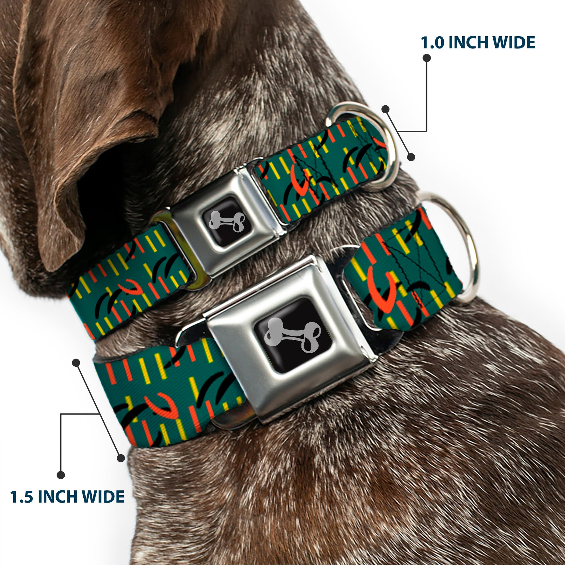 Dog Bone Black/Silver Seatbelt Buckle Collar - MCO Orlando International Airport Carpet Teal/Orange/Yellow/Black Seatbelt Buckle Collars Buckle-Down