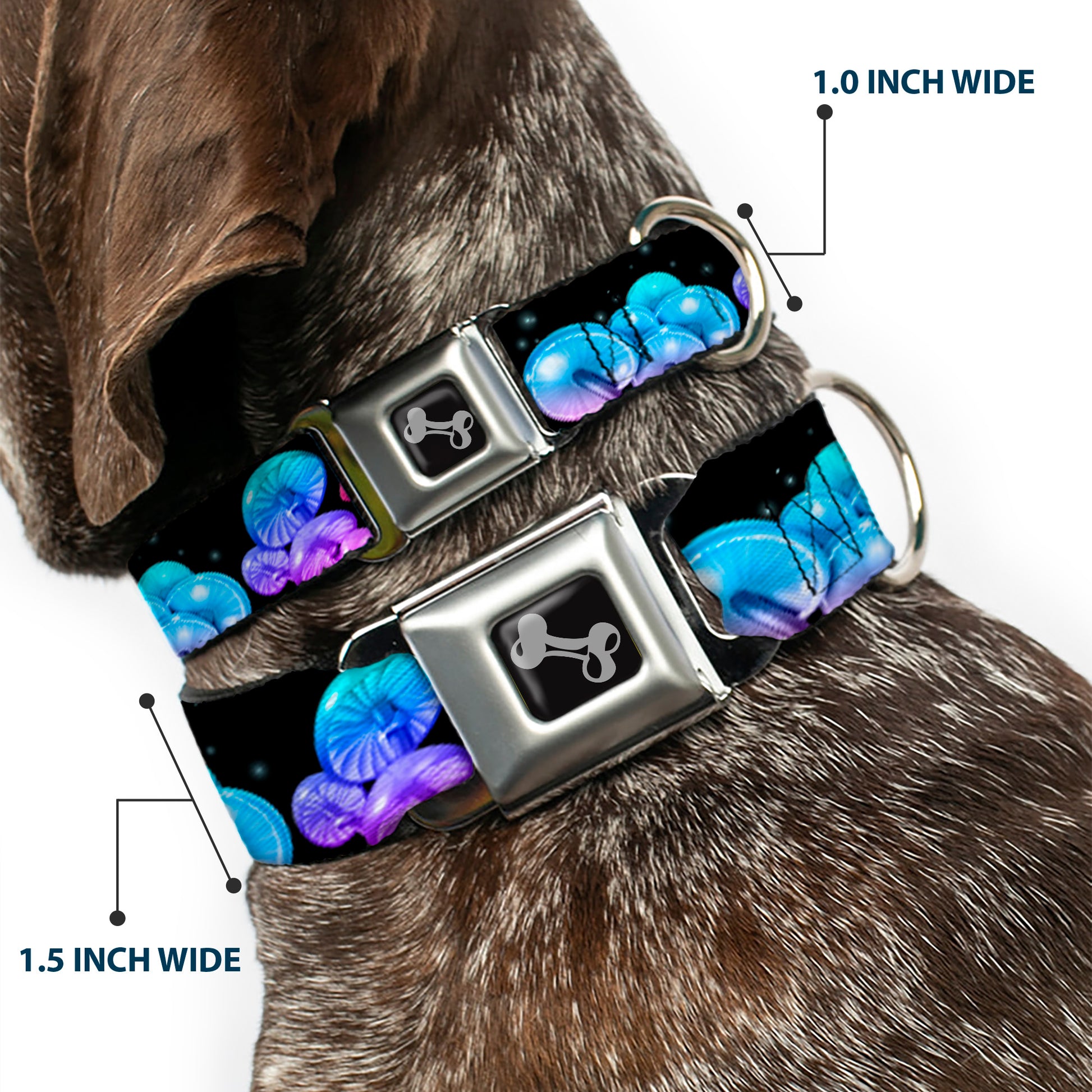 Dog Bone Black/Silver Seatbelt Buckle Collar - Mushroom Glow Black/Multi Color Seatbelt Buckle Collars Buckle-Down