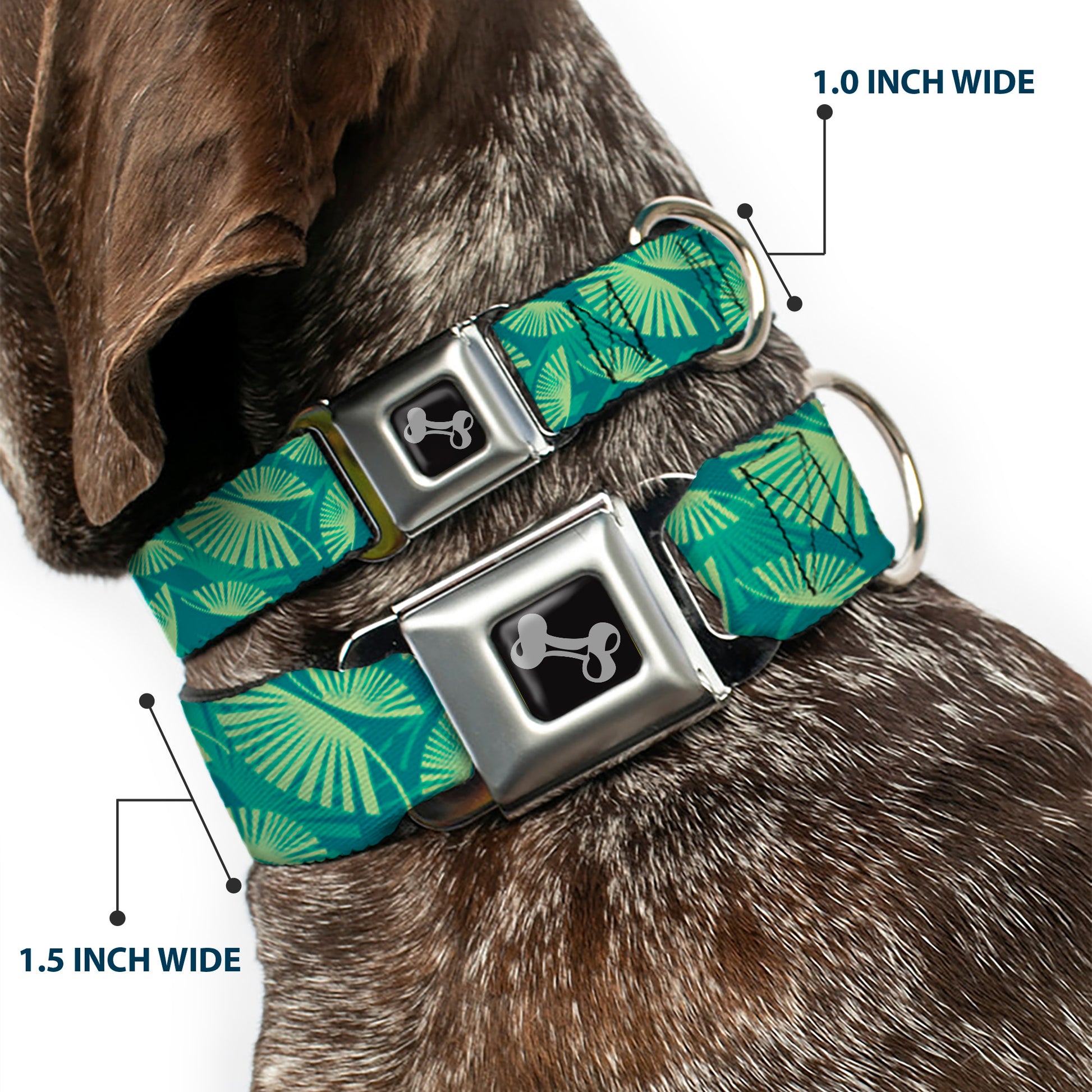 Dog Bone Seatbelt Buckle Collar - Palm Leaves Stacked Pastel Greens Seatbelt Buckle Collars Buckle-Down