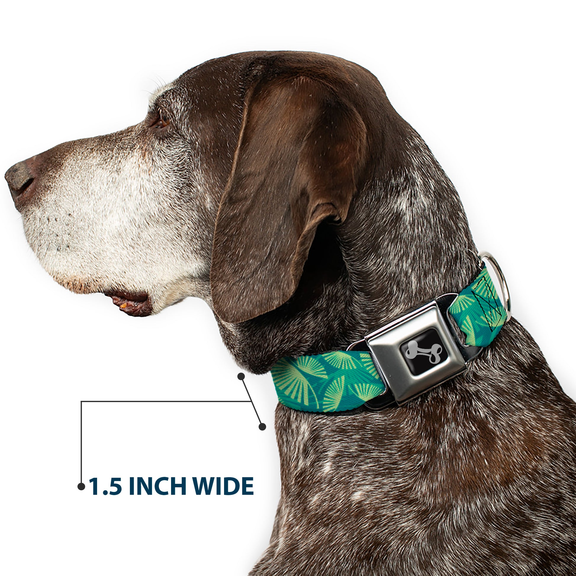 Dog Bone Seatbelt Buckle Collar - Palm Leaves Stacked Pastel Greens Seatbelt Buckle Collars Buckle-Down