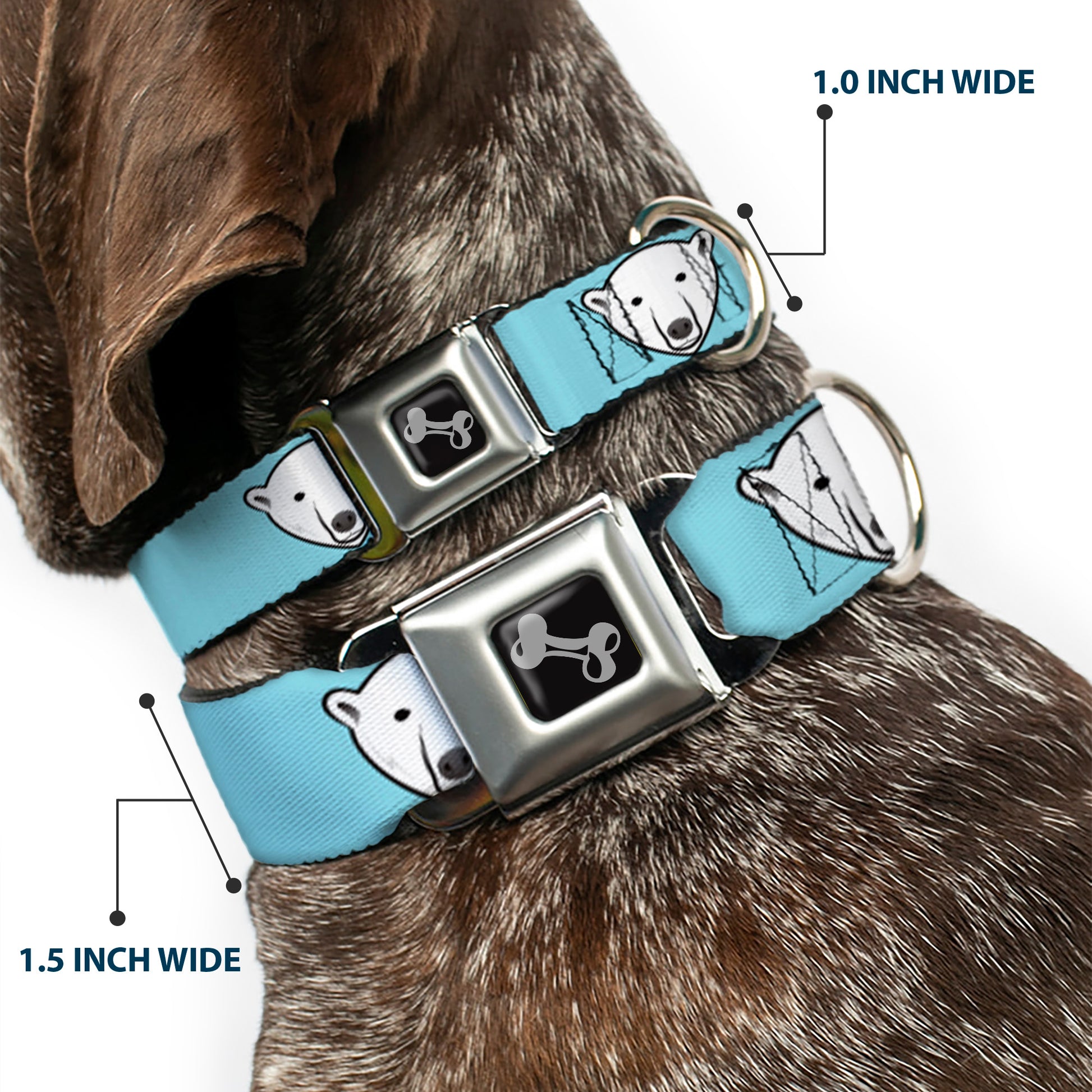 Dog Bone Seatbelt Buckle Collar - Polar Bear Repeat Baby Blue Seatbelt Buckle Collars Buckle-Down