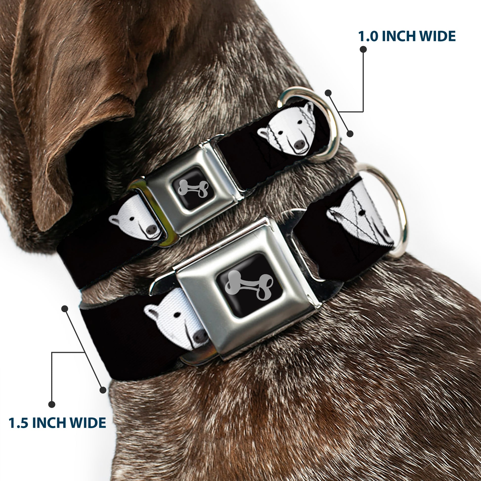 Dog Bone Seatbelt Buckle Collar - Polar Bear Repeat Black Seatbelt Buckle Collars Buckle-Down
