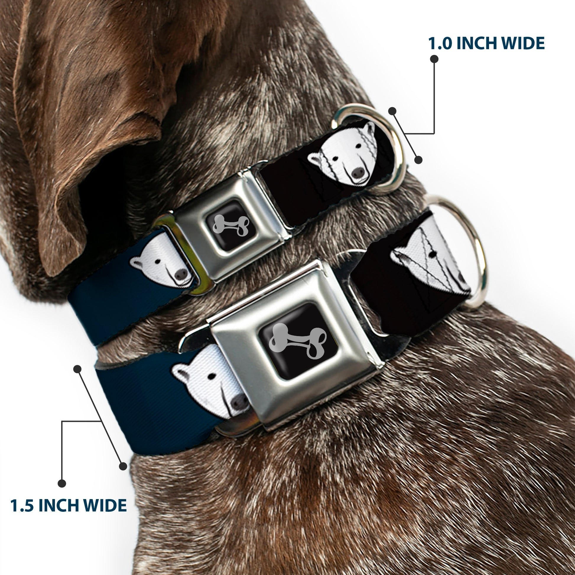 Dog Bone Seatbelt Buckle Collar - Polar Bear Repeat Black/Blue Fade Seatbelt Buckle Collars Buckle-Down