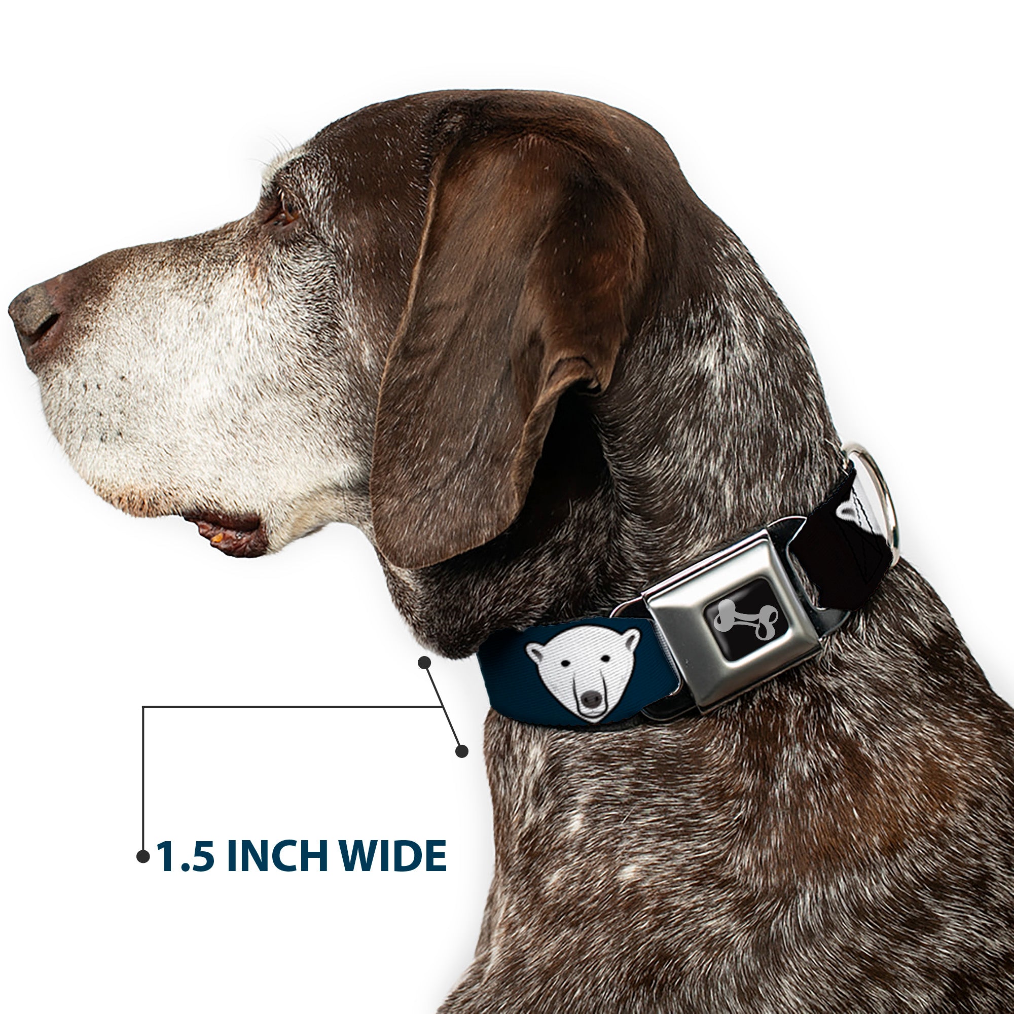 Dog Bone Seatbelt Buckle Collar - Polar Bear Repeat Black/Blue Fade Seatbelt Buckle Collars Buckle-Down