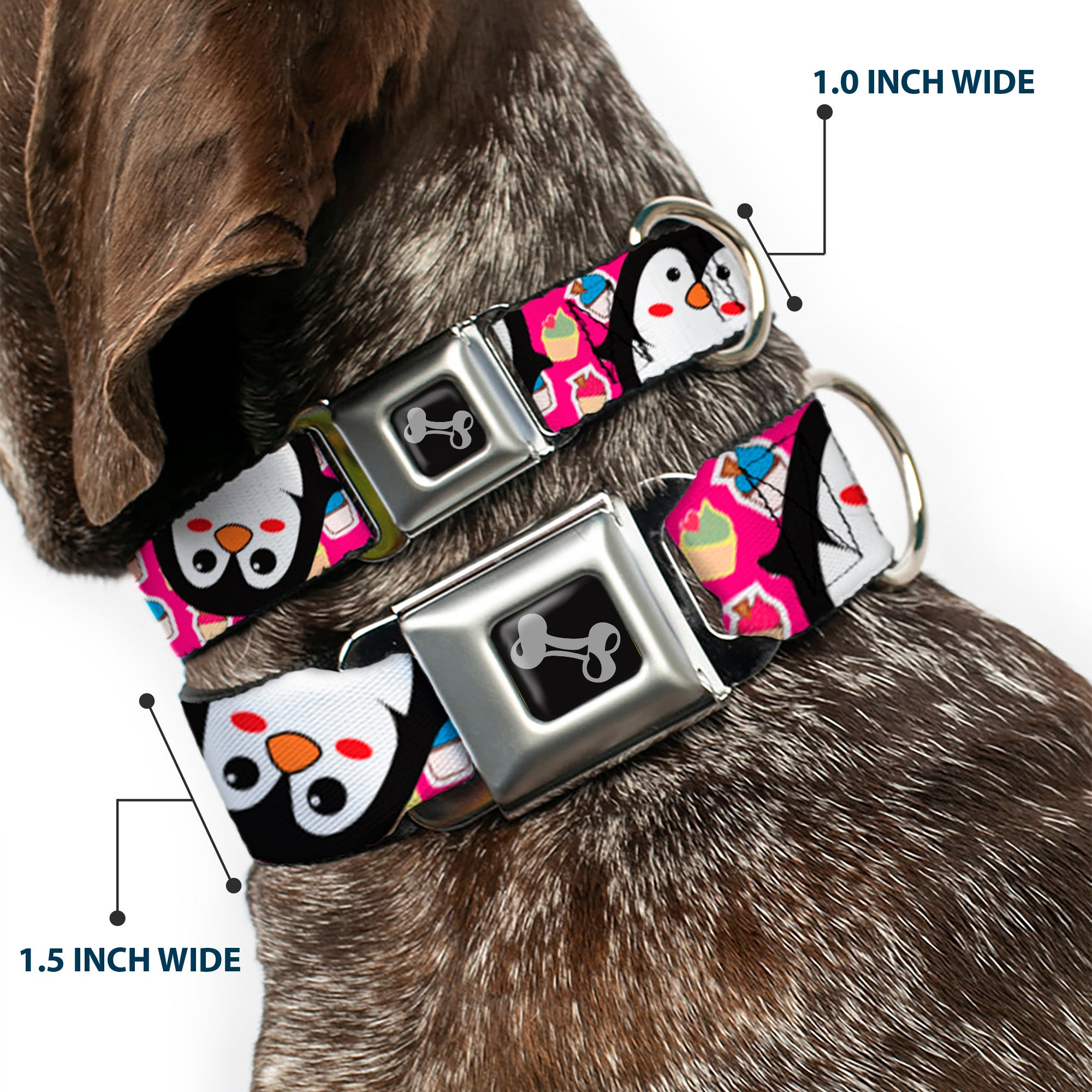Dog Bone Seatbelt Buckle Collar - Penguins w/Cupcakes Fuchsia/Multi Color Seatbelt Buckle Collars Buckle-Down