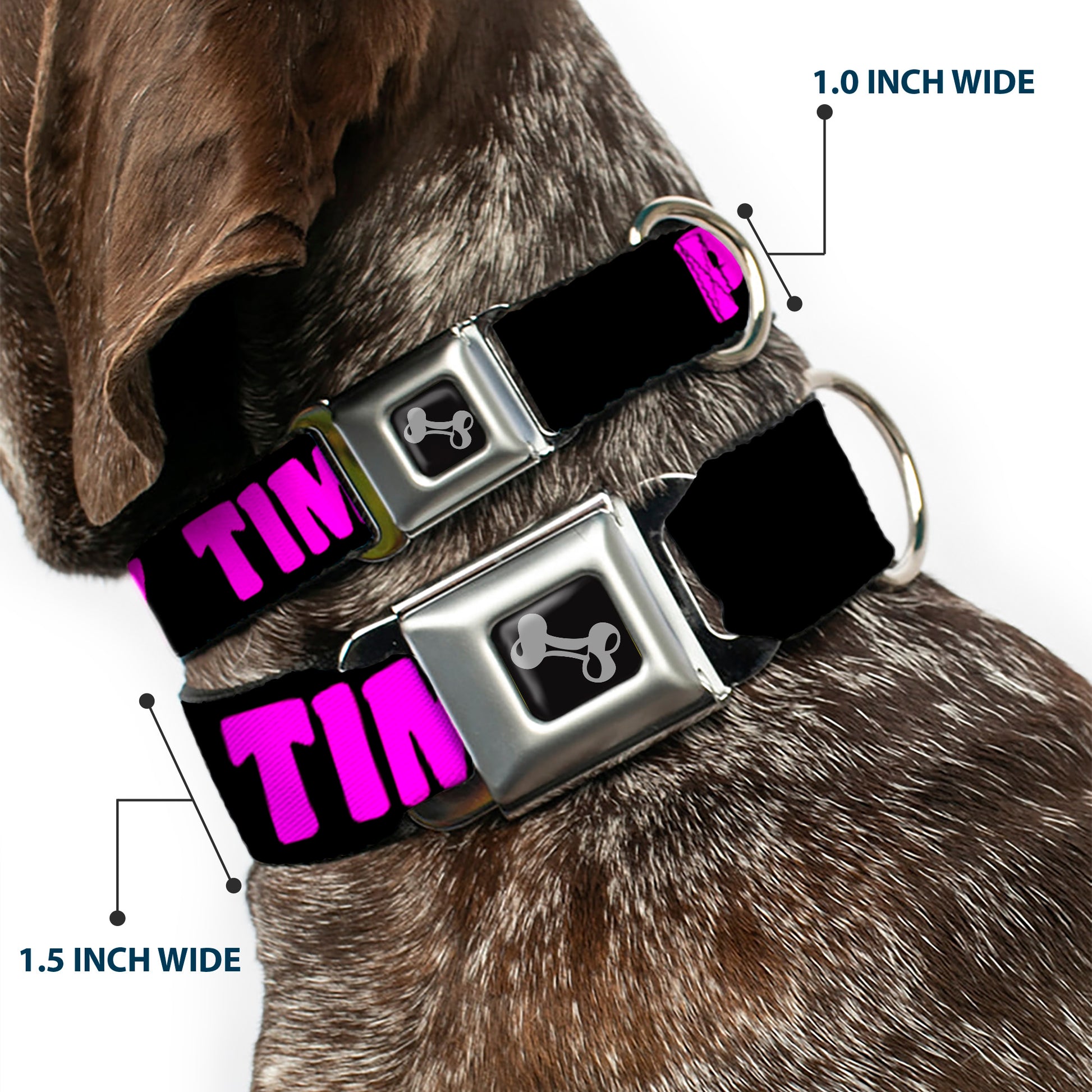 Dog Bone Seatbelt Buckle Collar - PARTY TIME! Black/Fuchsia Seatbelt Buckle Collars Buckle-Down