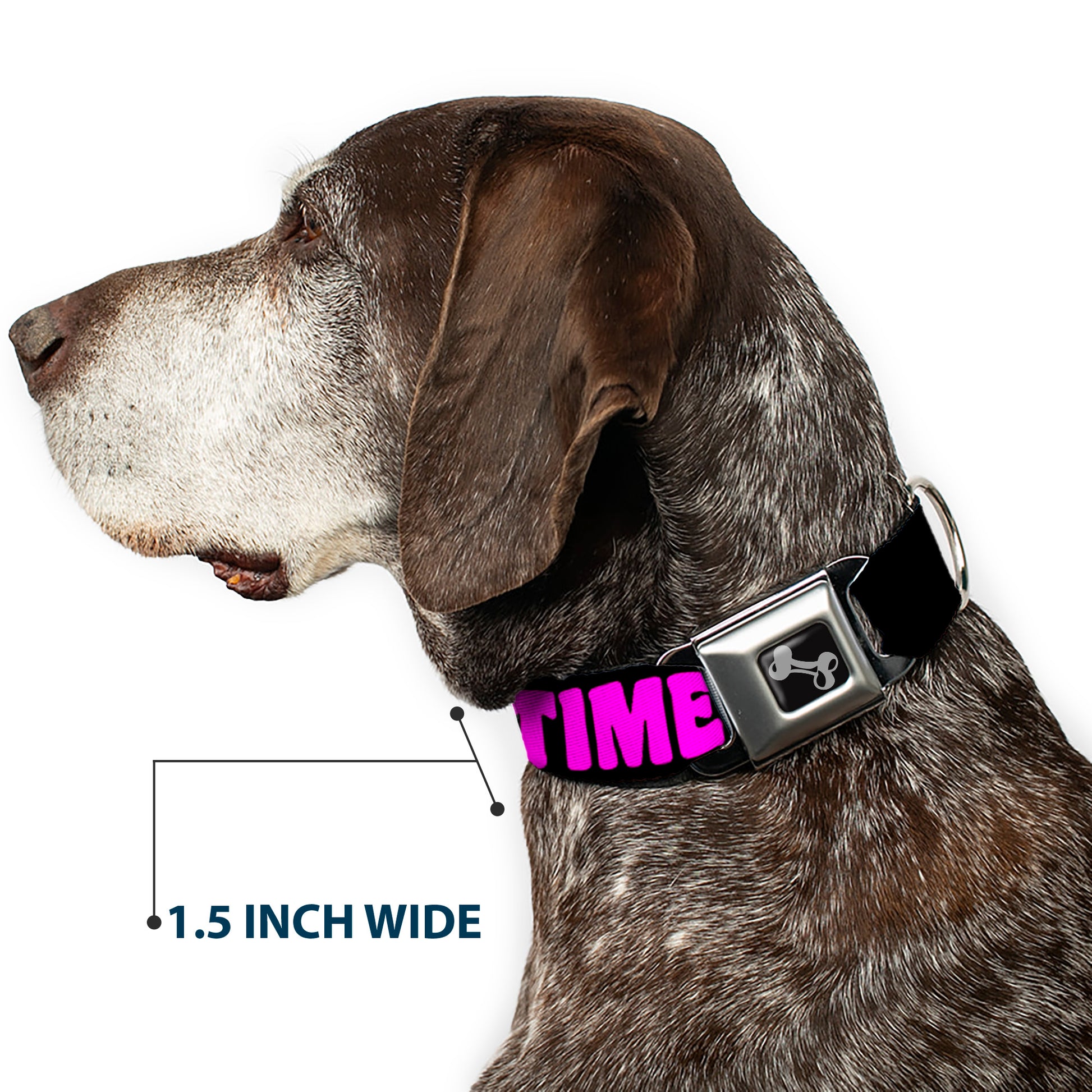 Dog Bone Seatbelt Buckle Collar - PARTY TIME! Black/Fuchsia Seatbelt Buckle Collars Buckle-Down