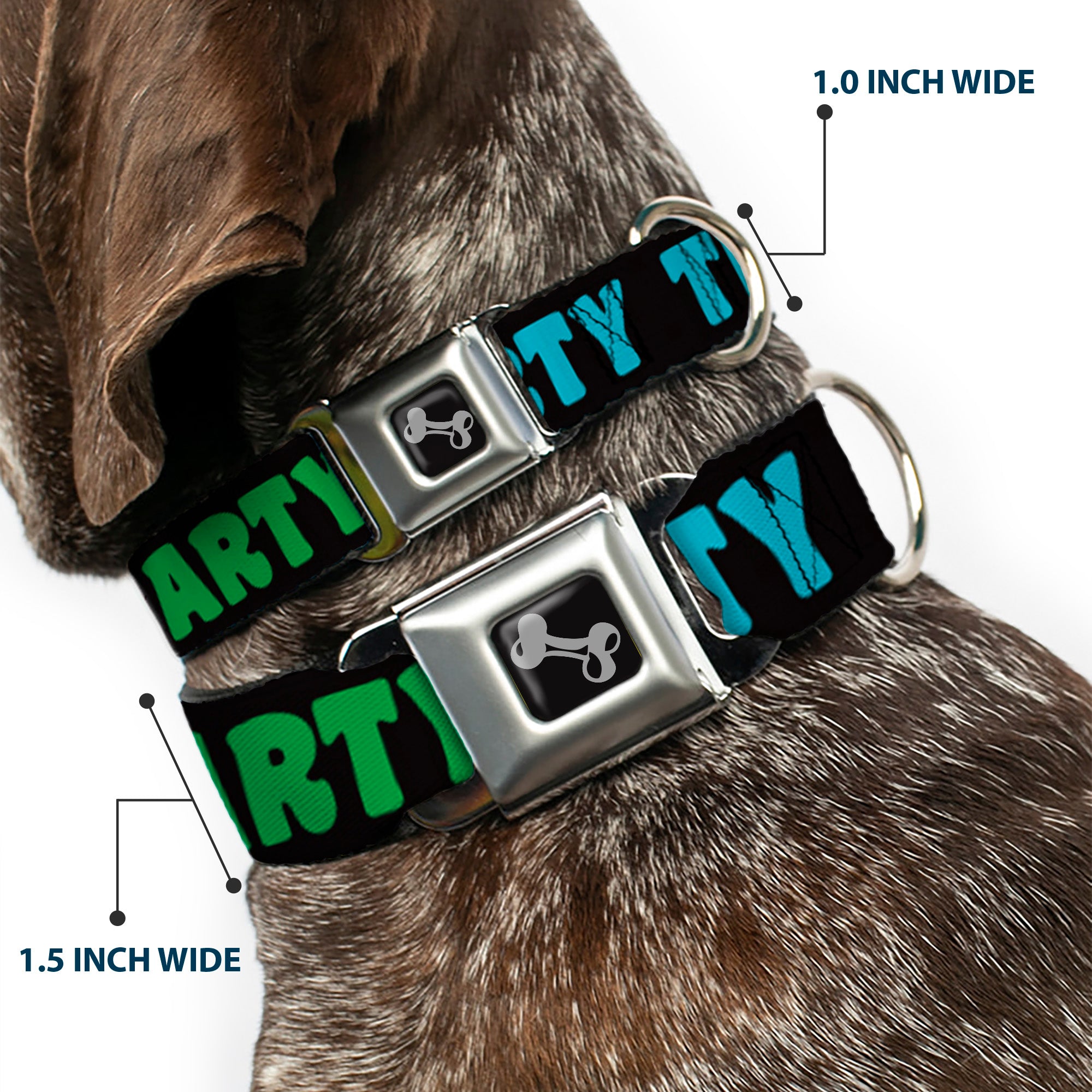Dog Bone Seatbelt Buckle Collar - PARTY TIME! Black/Green/Turquoise/Fuchsia Seatbelt Buckle Collars Buckle-Down