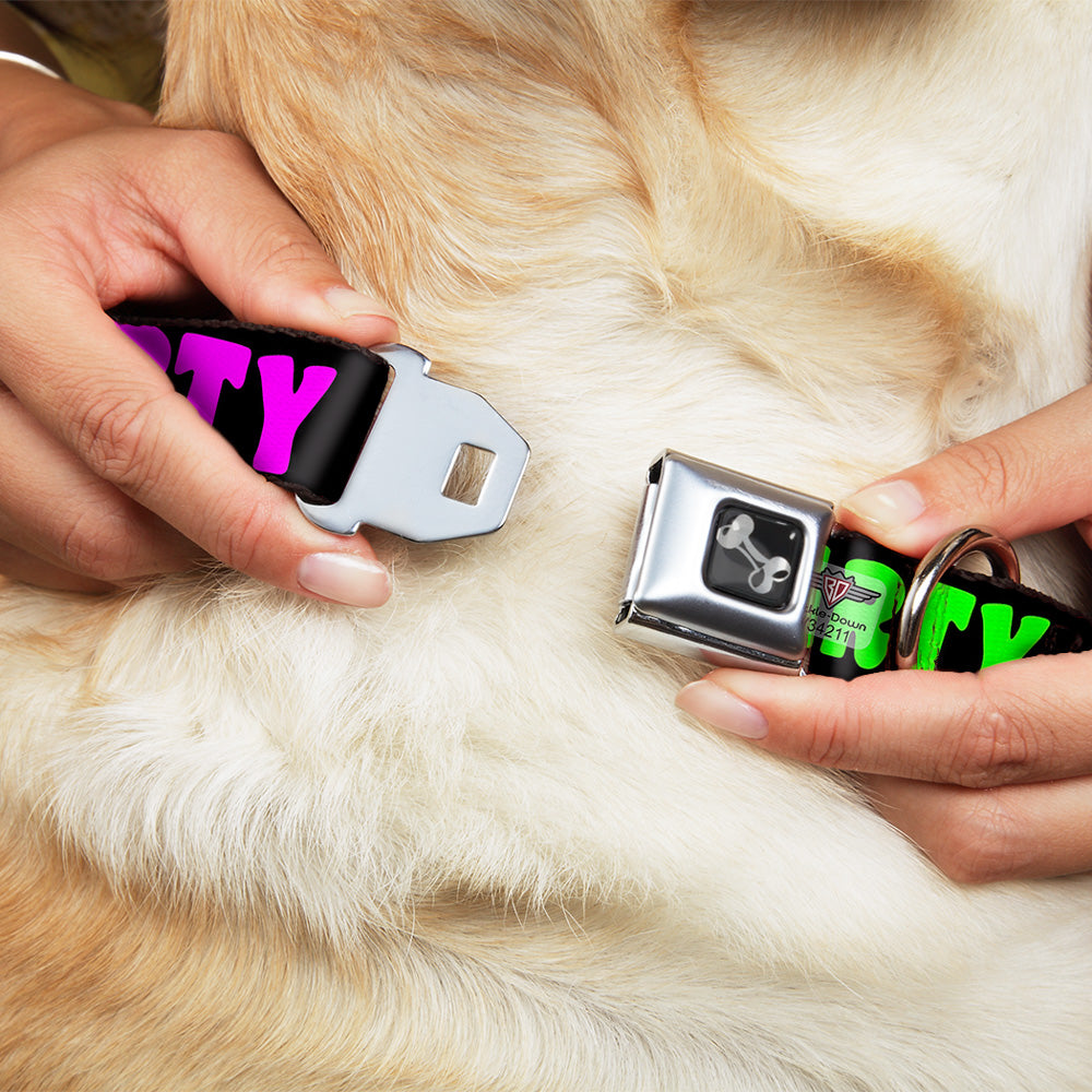 Dog Bone Seatbelt Buckle Collar - PARTY TIME! Black/Green/Turquoise/Fuchsia Seatbelt Buckle Collars Buckle-Down