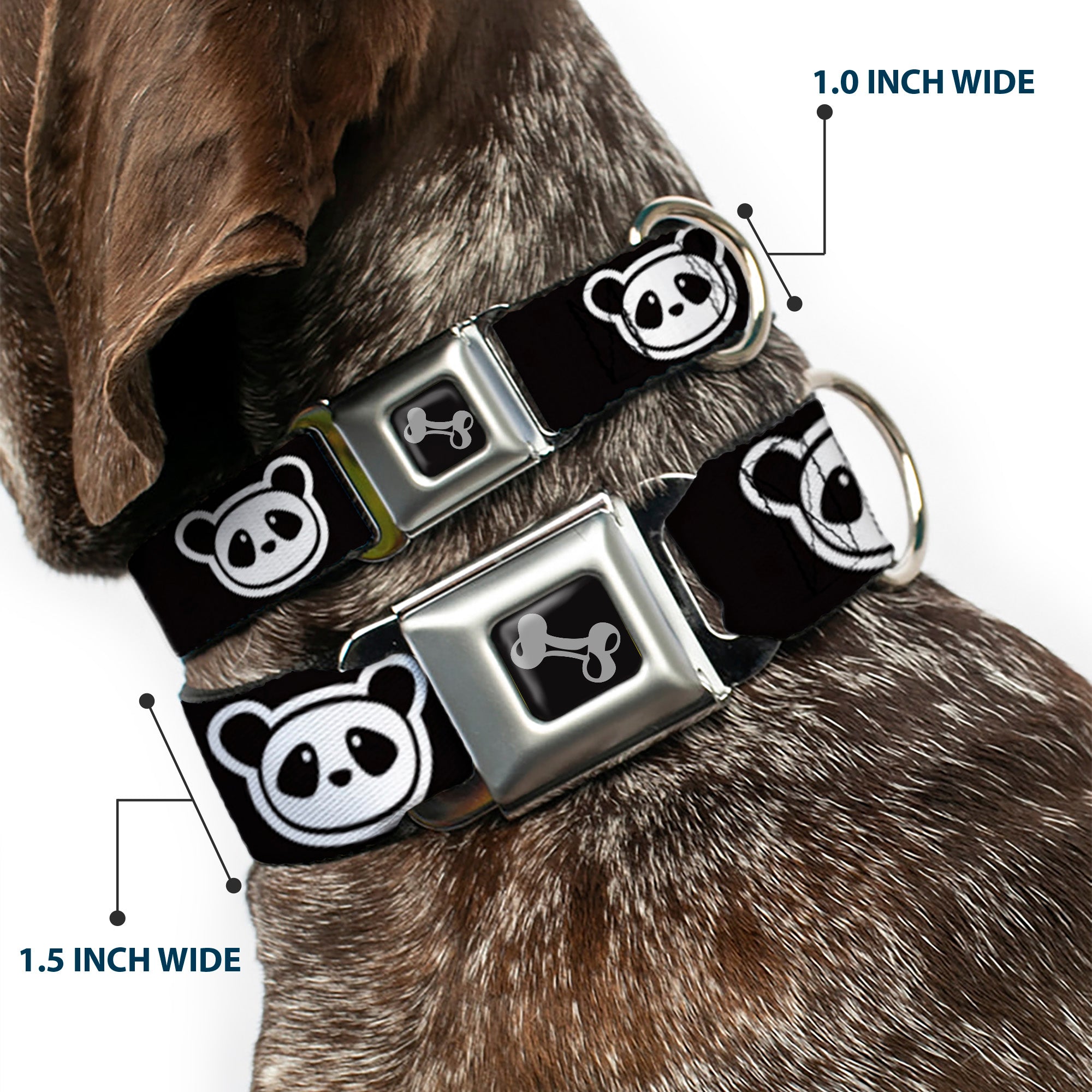 Dog Bone Seatbelt Buckle Collar - Panda Bear Cartoon2 Black/White Seatbelt Buckle Collars Buckle-Down