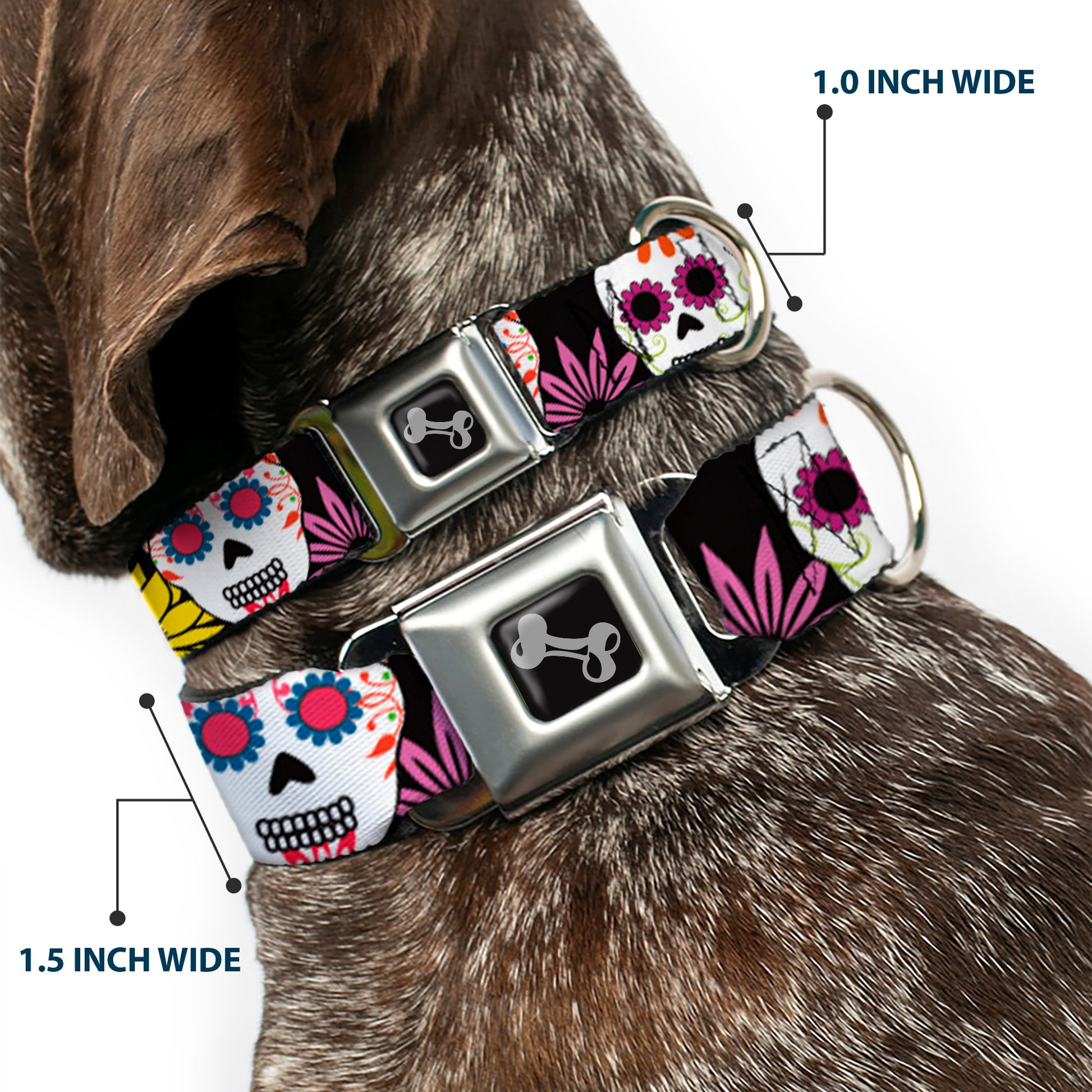 Dog Bone Seatbelt Buckle Collar - Sugar Skulls & Flowers Black/Multi Color Seatbelt Buckle Collars Buckle-Down