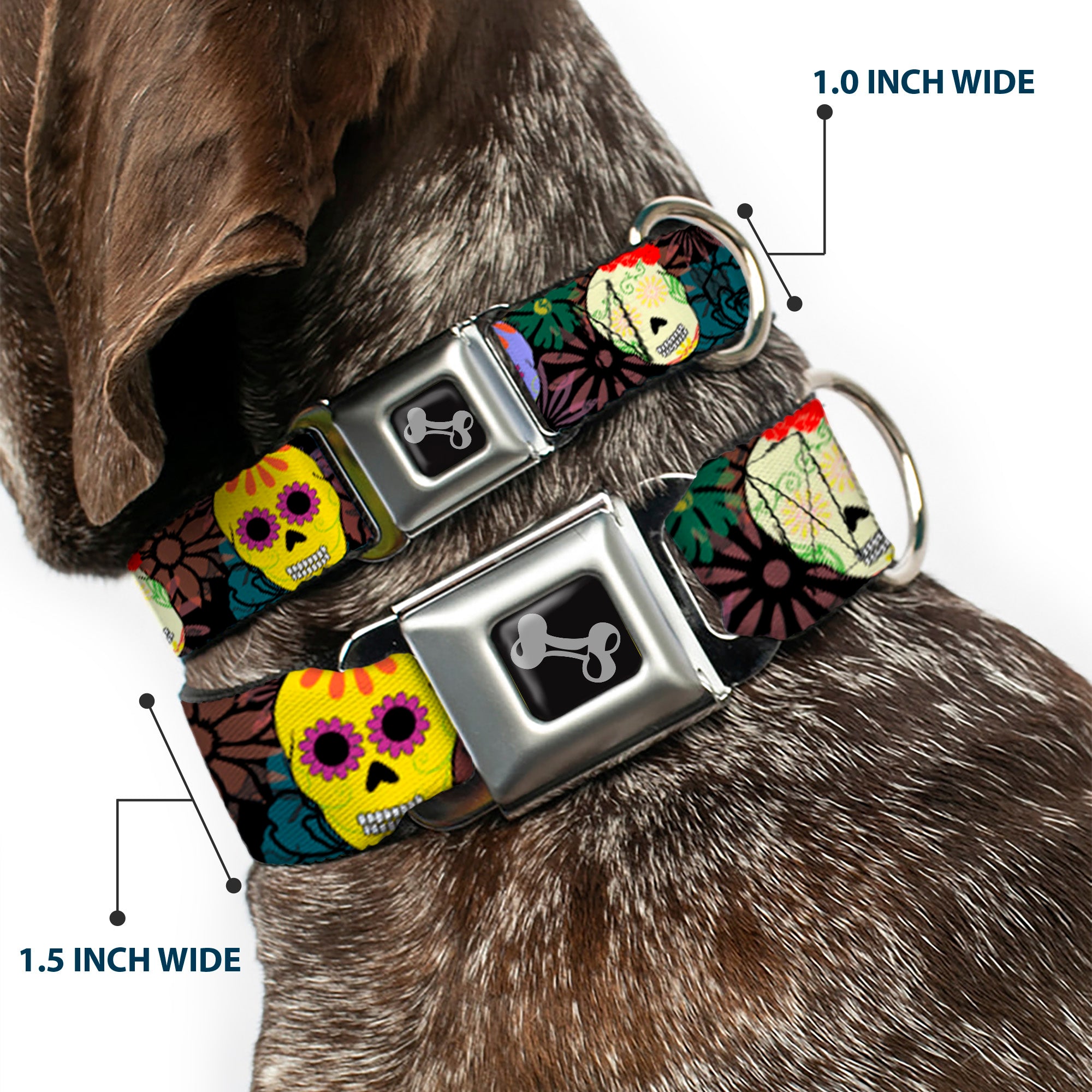 Dog Bone Black/Silver Seatbelt Buckle Collar - Painted Sugar Skulls & Flowers Collage Seatbelt Buckle Collars Buckle-Down