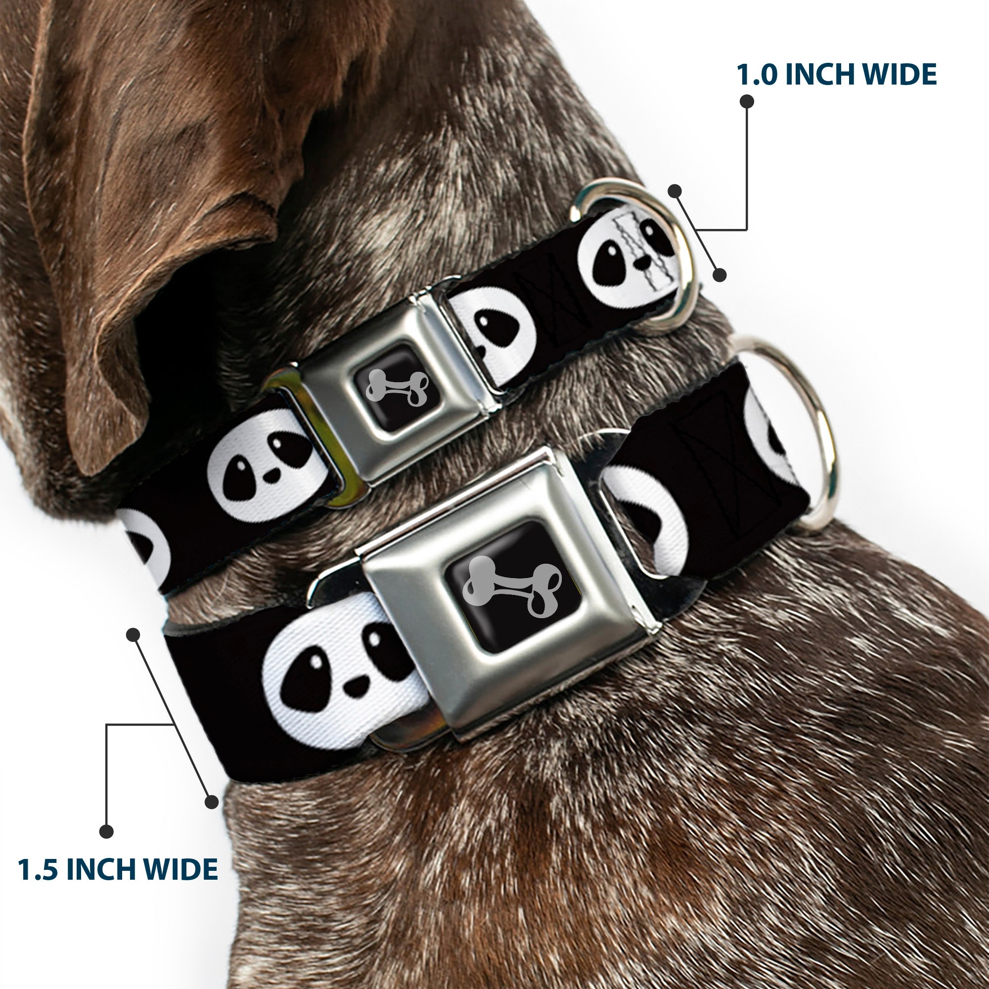 Dog Bone Seatbelt Buckle Collar - Panda Face Black/White Seatbelt Buckle Collars Buckle-Down