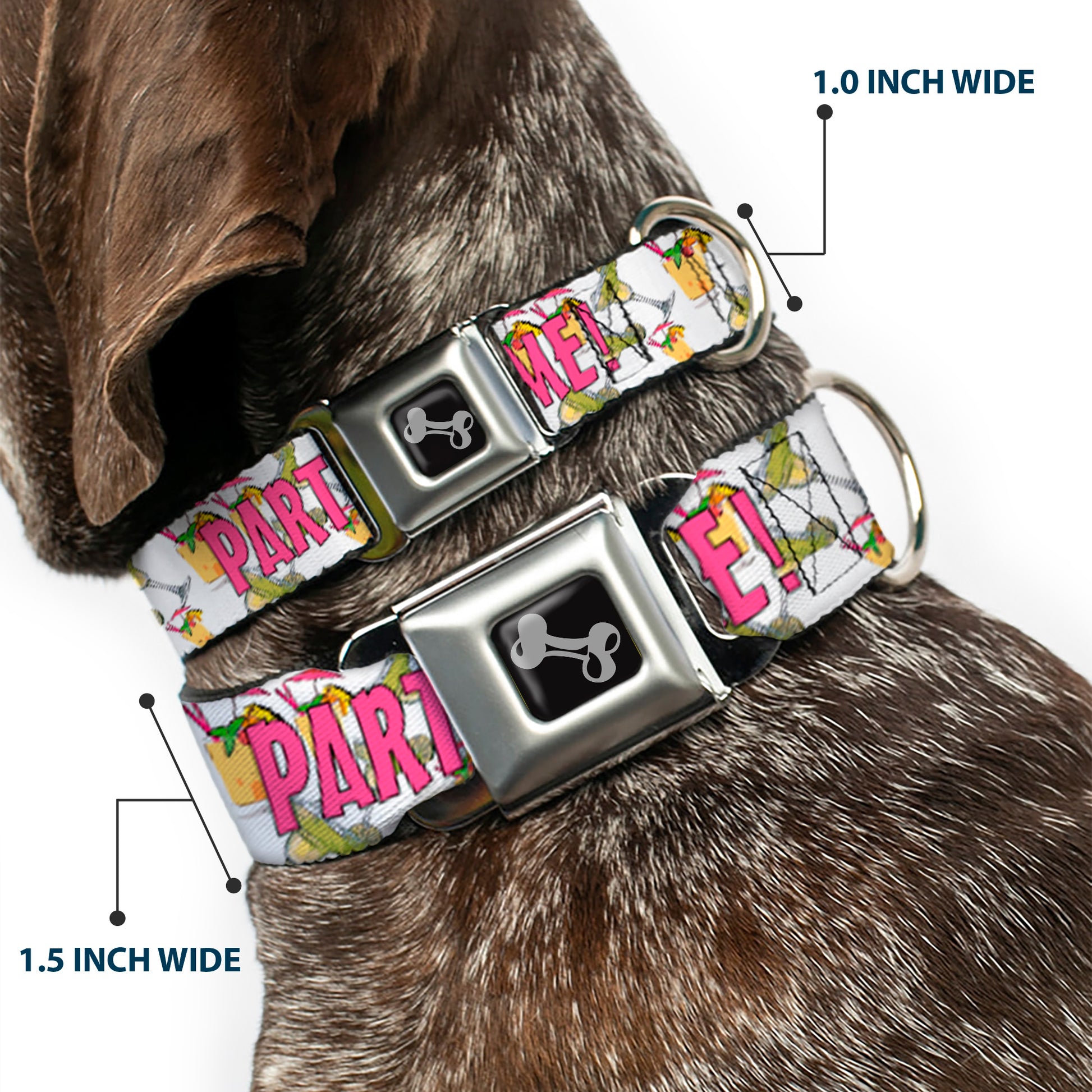 Buckle-Down Seatbelt Buckle Dog Collar - PARTY TIME! w/Drinks Seatbelt Buckle Collars Buckle-Down