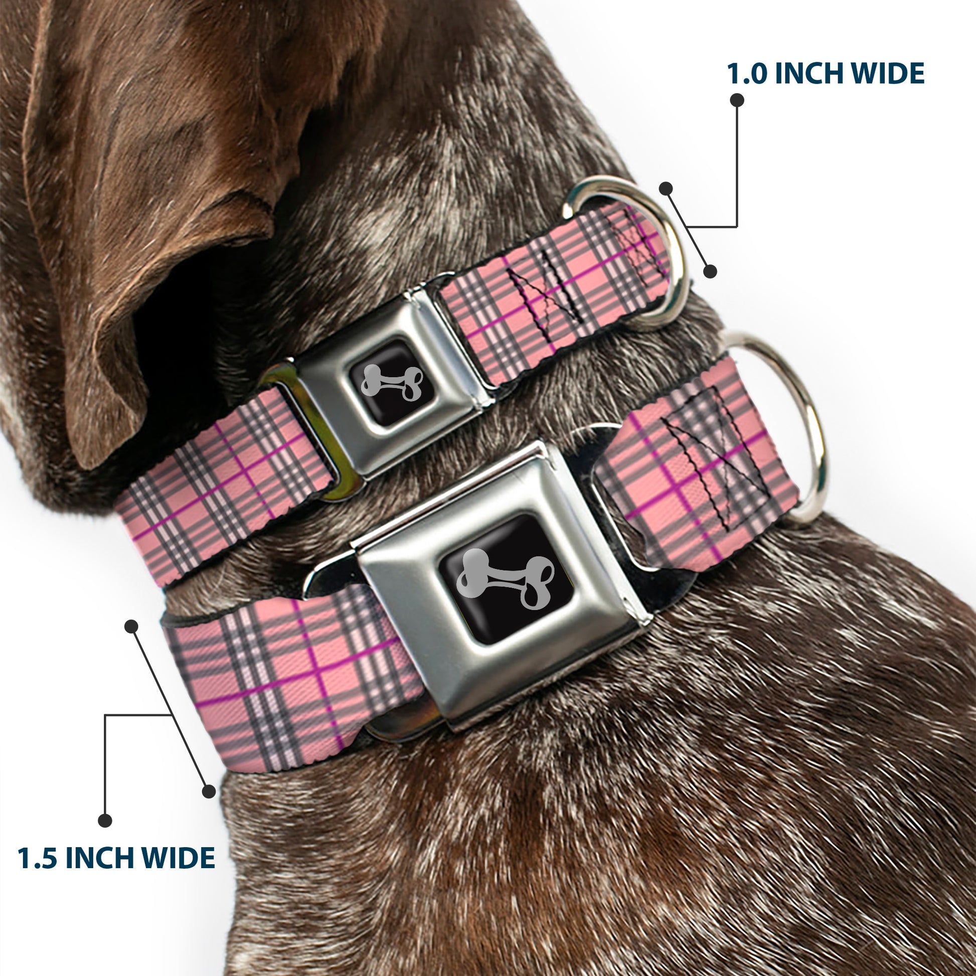 Dog Bone Seatbelt Buckle Collar - Plaid Pink Seatbelt Buckle Collars Buckle-Down