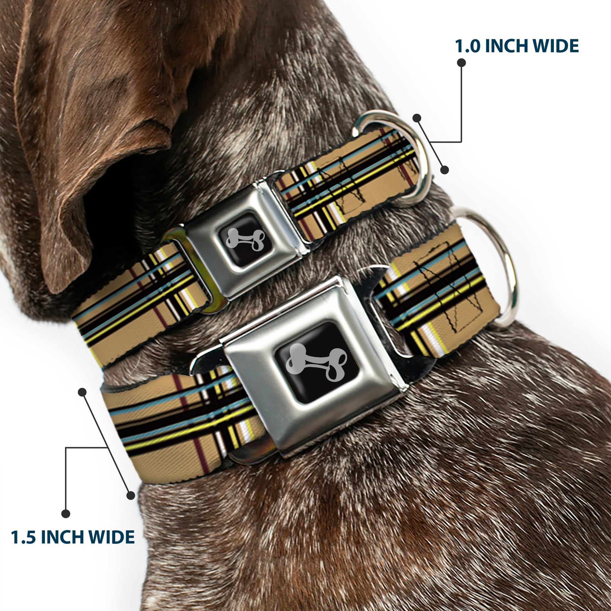 Dog Bone Seatbelt Buckle Collar - Plaid Tan Seatbelt Buckle Collars Buckle-Down