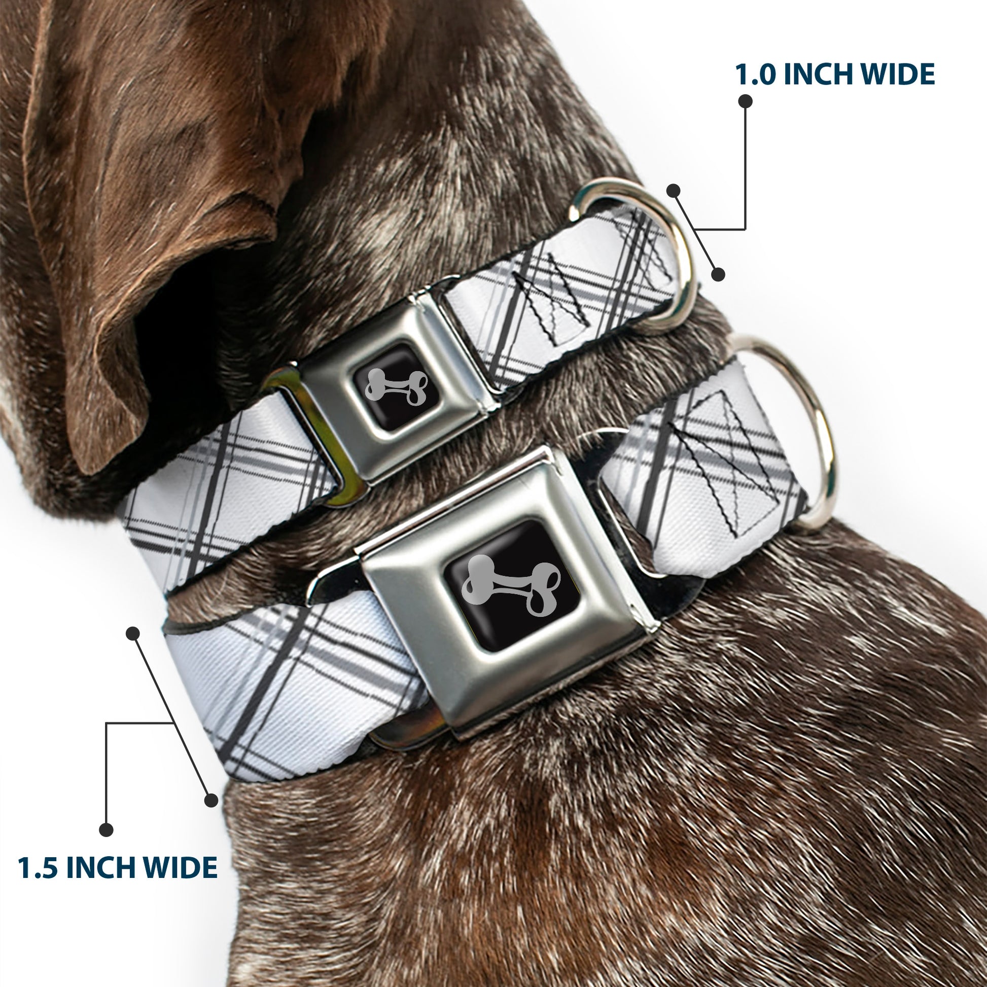 Dog Bone Seatbelt Buckle Collar - Plaid X Weathered White/Gray Seatbelt Buckle Collars Buckle-Down