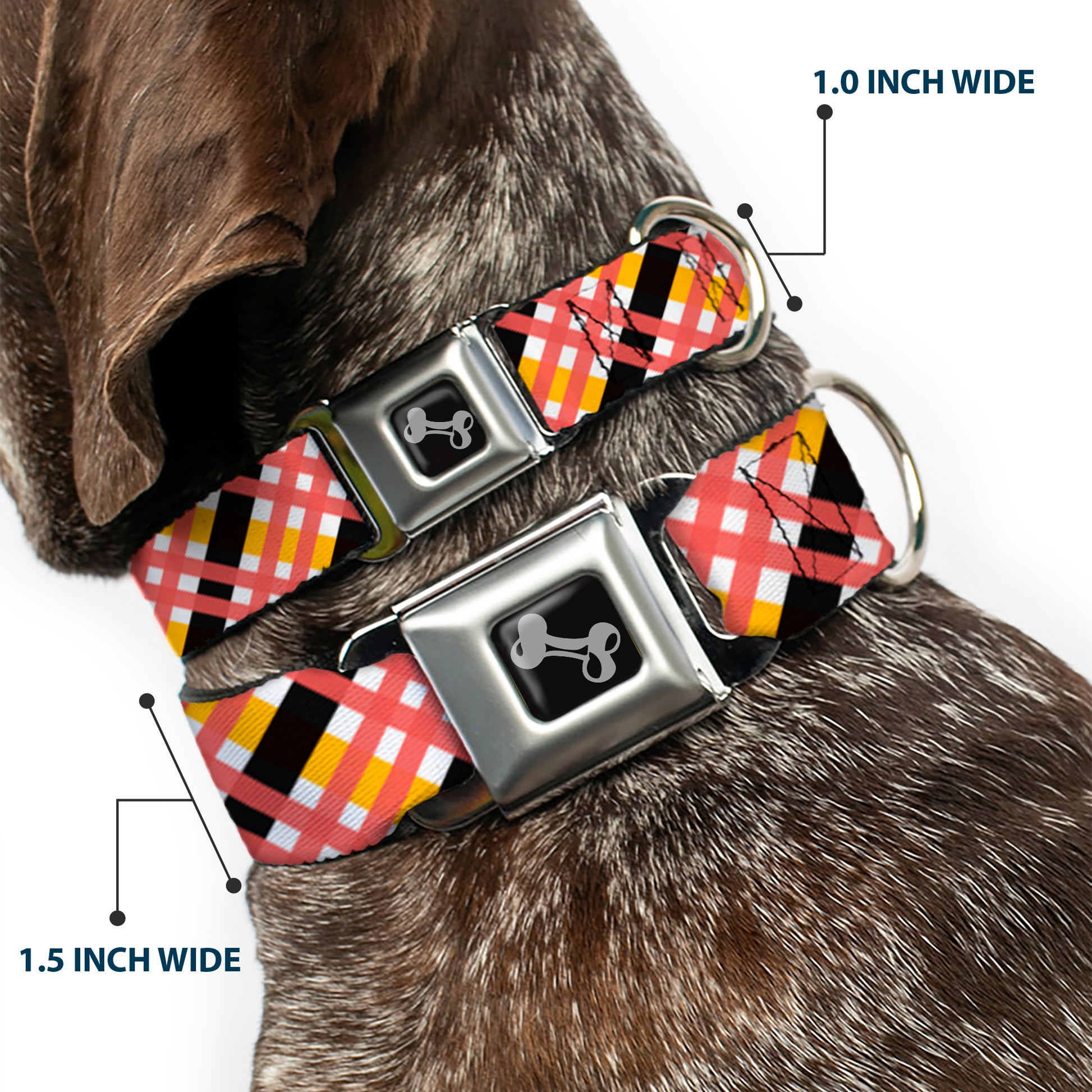 Dog Bone Seatbelt Buckle Collar - Plaid X White/Gold/Black/Pink Seatbelt Buckle Collars Buckle-Down