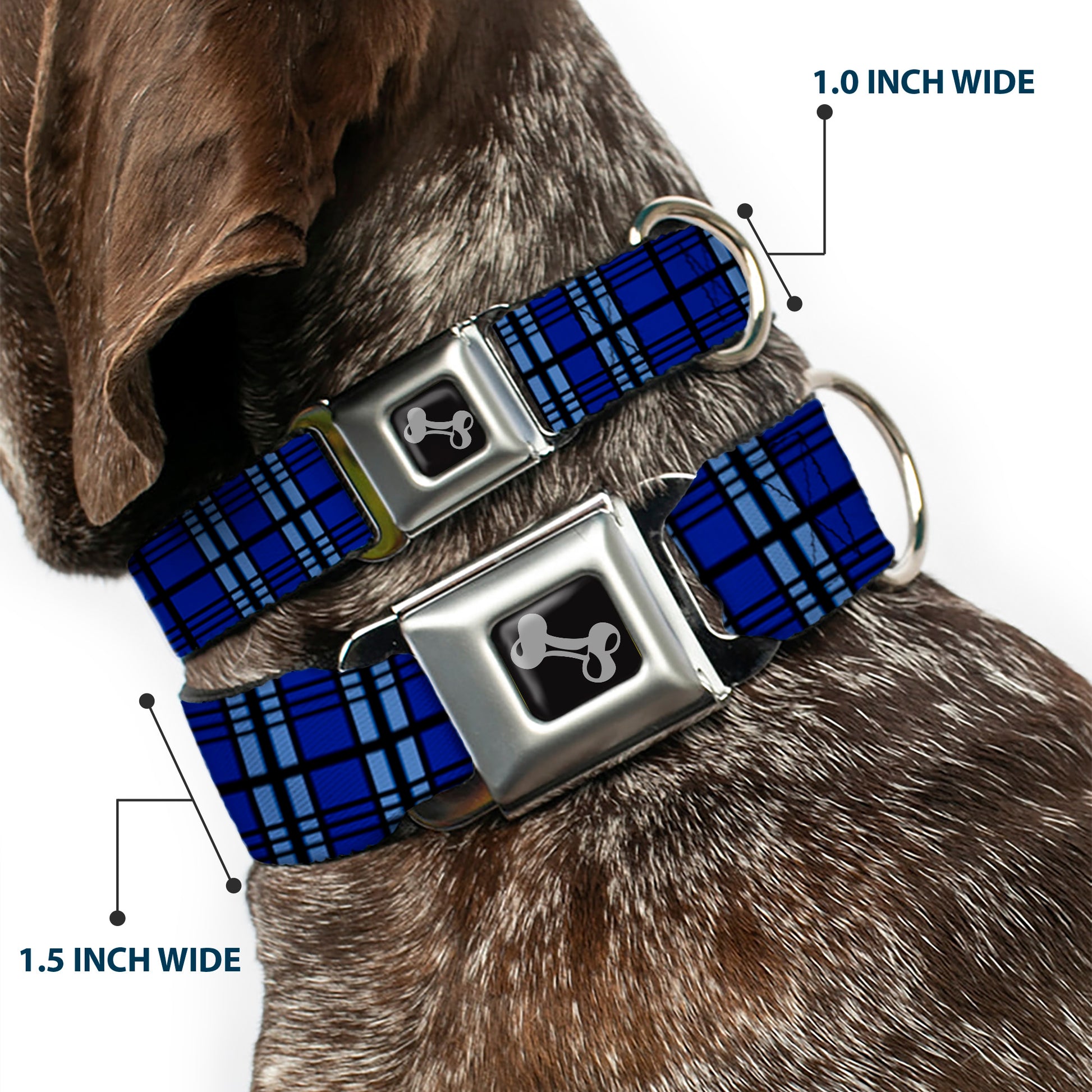 Dog Bone Seatbelt Buckle Collar - Plaid Blue/Gray/Black Seatbelt Buckle Collars Buckle-Down