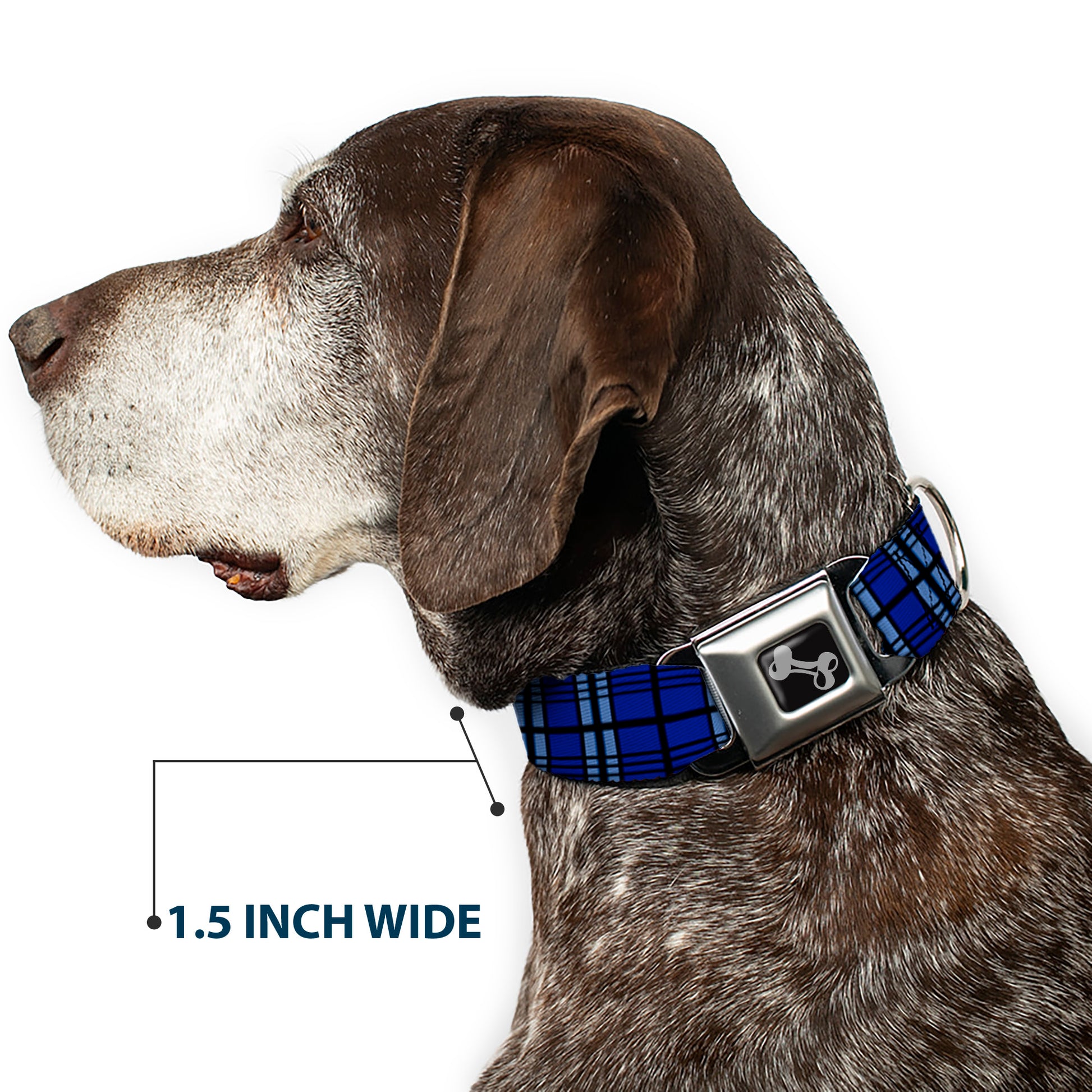Dog Bone Seatbelt Buckle Collar - Plaid Blue/Gray/Black Seatbelt Buckle Collars Buckle-Down