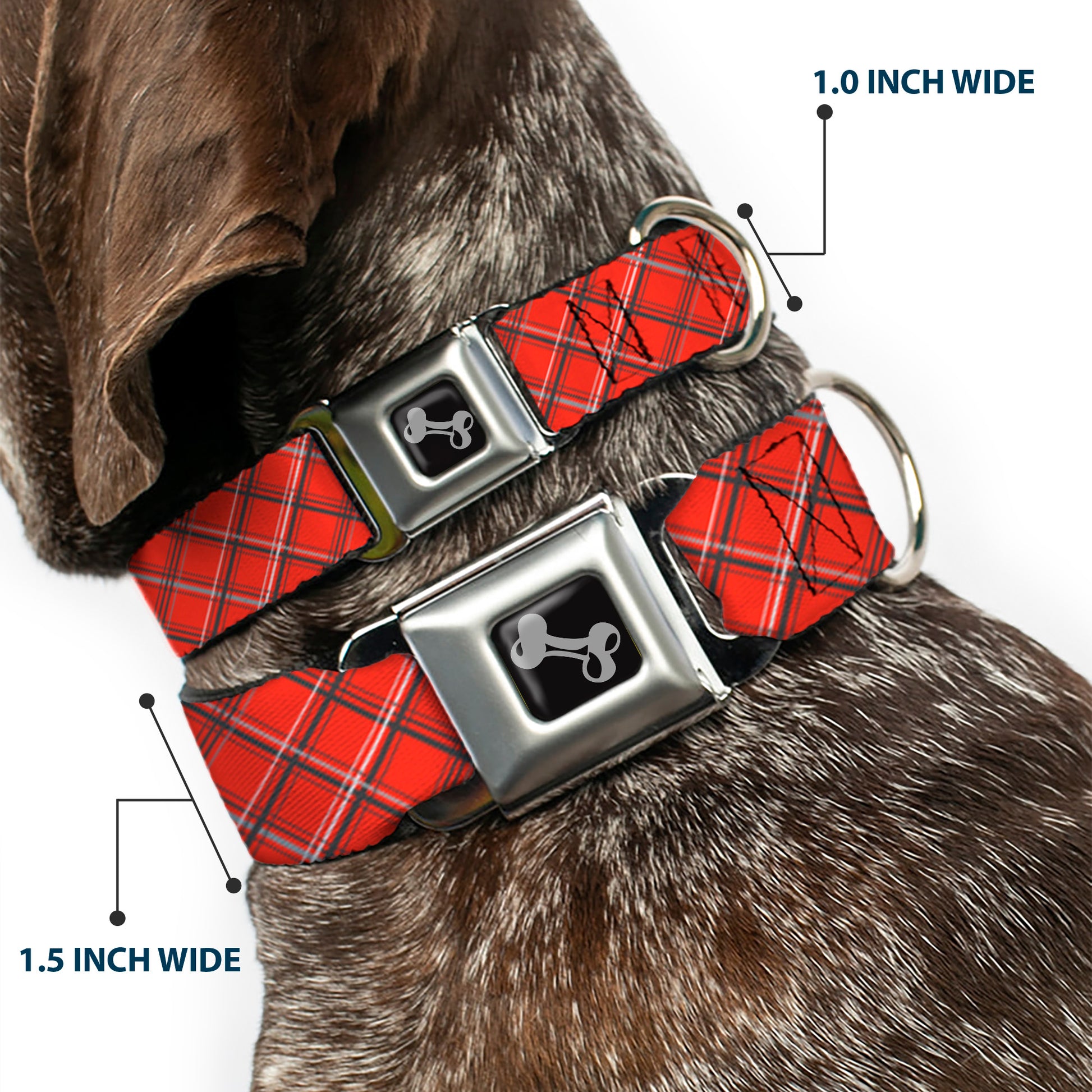 Dog Bone Seatbelt Buckle Collar - Plaid X Orange/Gray Seatbelt Buckle Collars Buckle-Down
