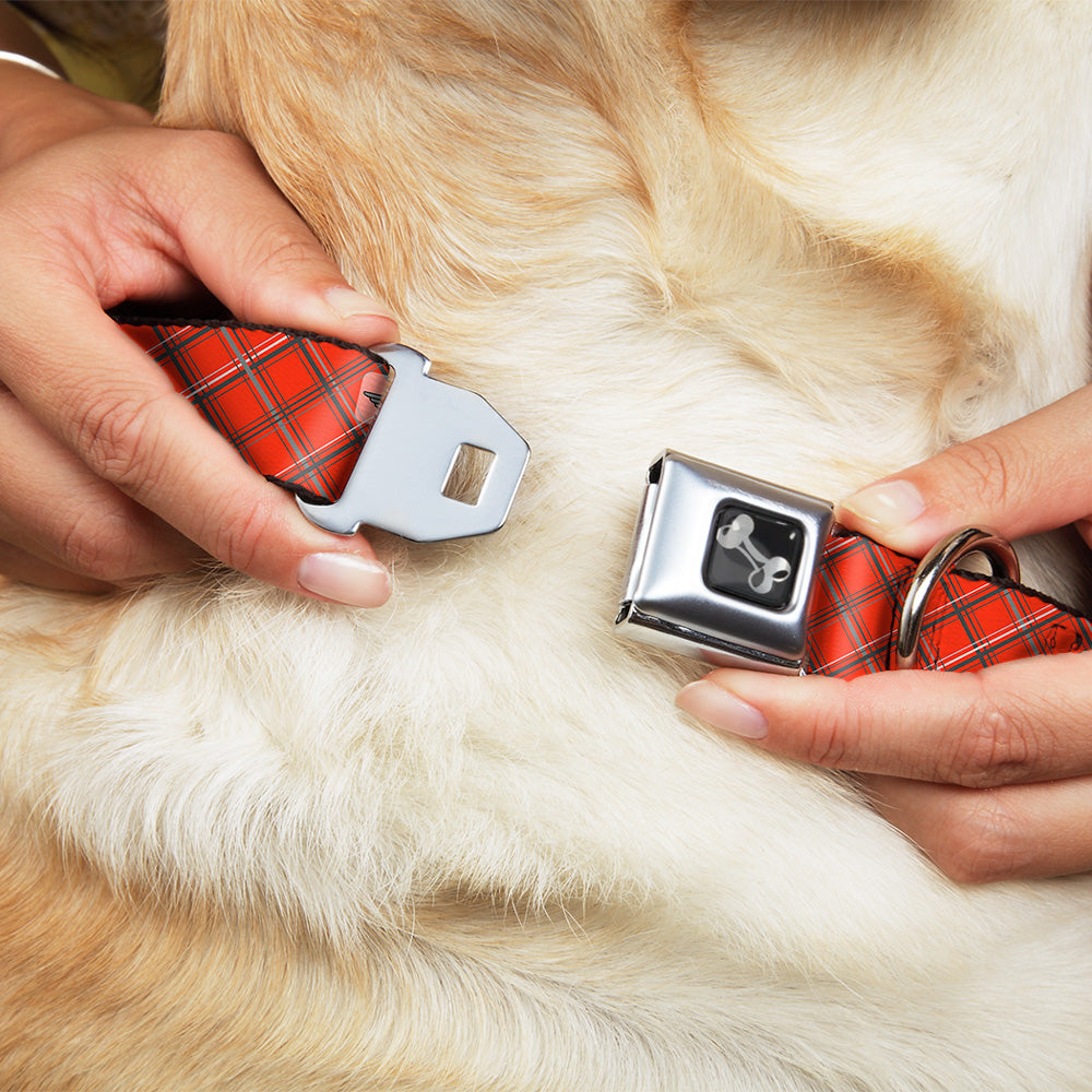 Dog Bone Seatbelt Buckle Collar - Plaid X Orange/Gray Seatbelt Buckle Collars Buckle-Down