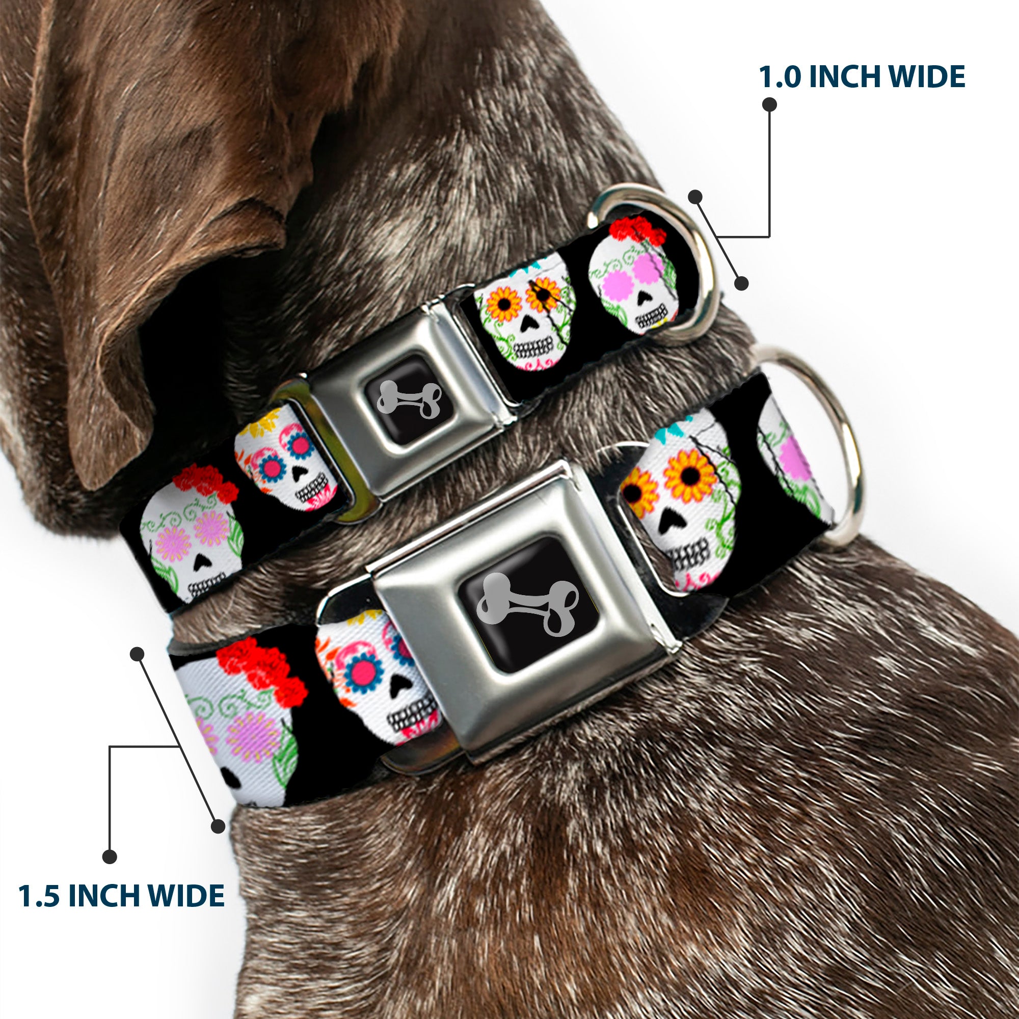 Dog Bone Seatbelt Buckle Collar - Staggered Sugar Skulls Black/Multi Color Seatbelt Buckle Collars Buckle-Down