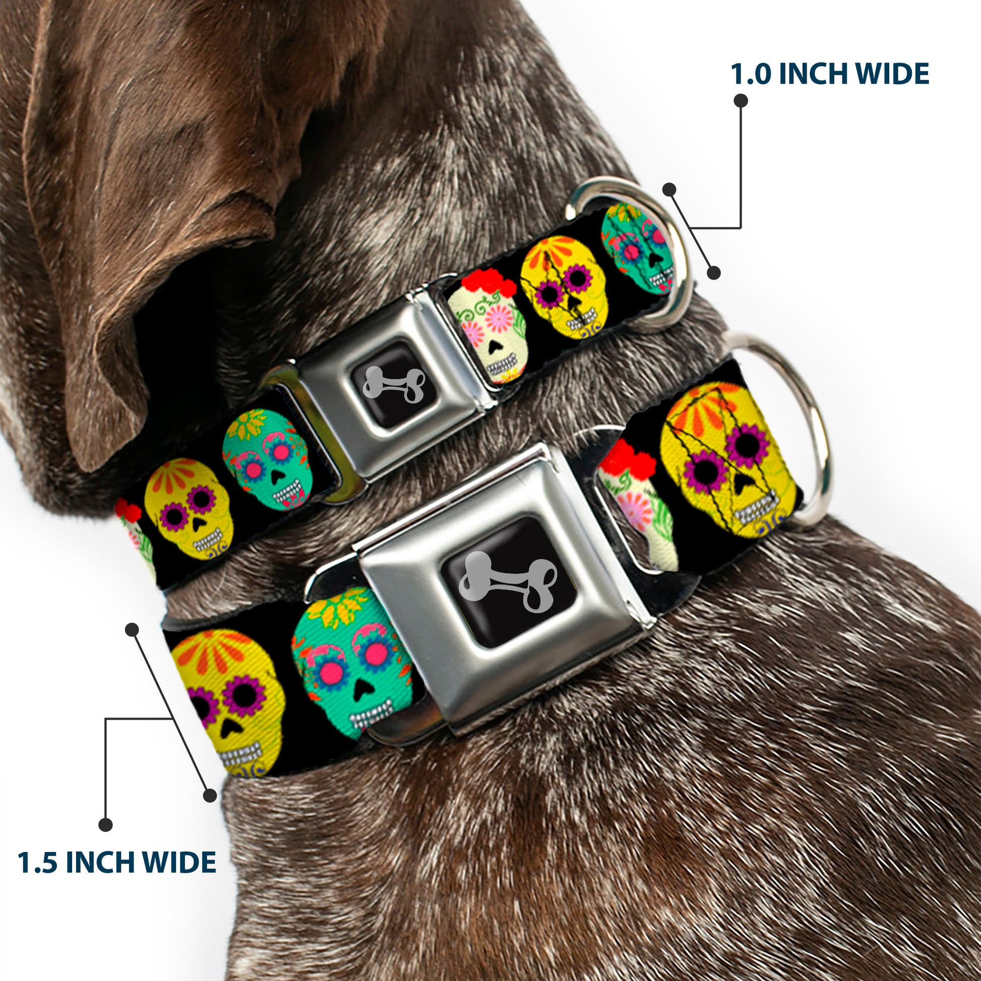 Dog Bone Black/Silver Seatbelt Buckle Collar - Painted Sugar Skulls Black/Multi Color Seatbelt Buckle Collars Buckle-Down