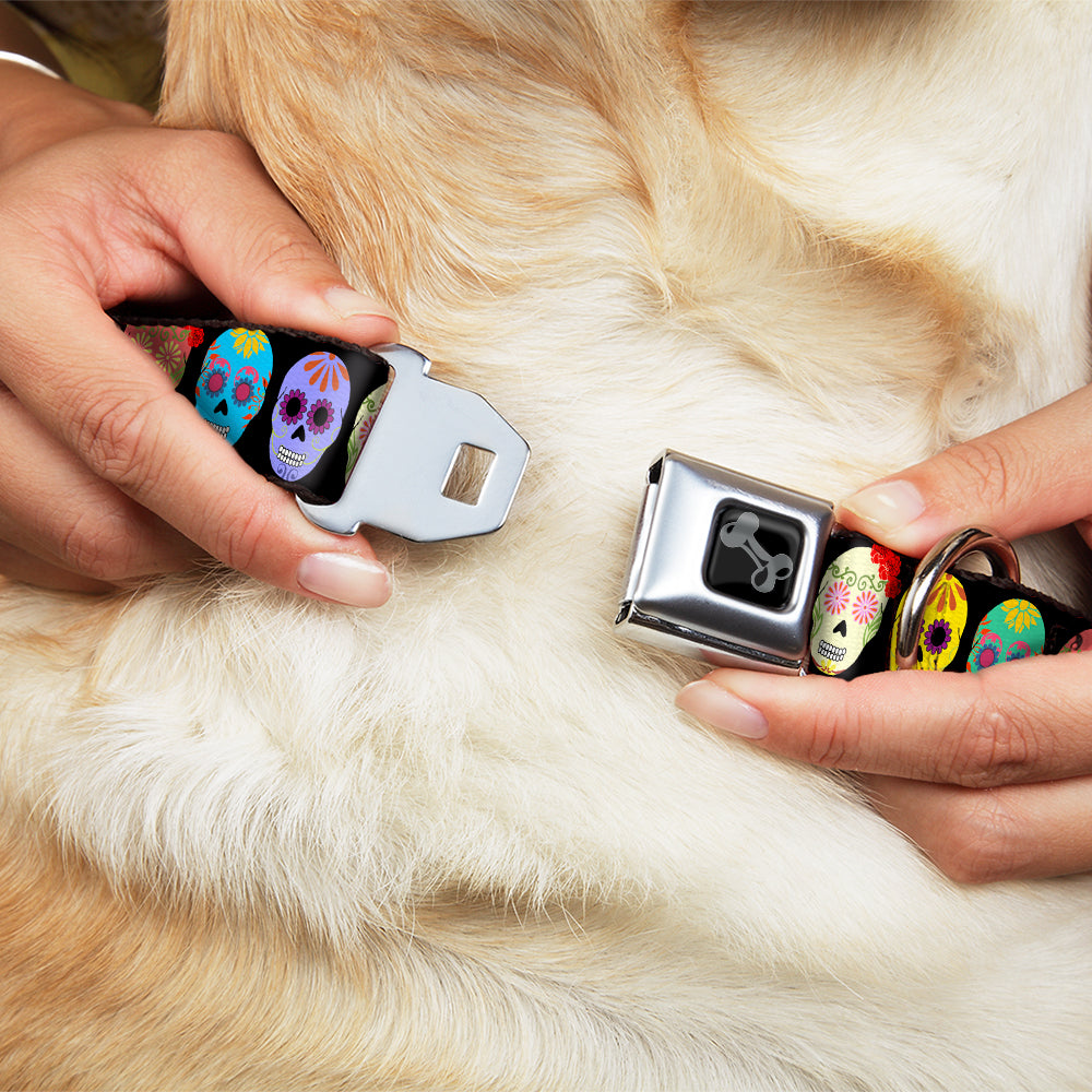 Dog Bone Black/Silver Seatbelt Buckle Collar - Painted Sugar Skulls Black/Multi Color Seatbelt Buckle Collars Buckle-Down