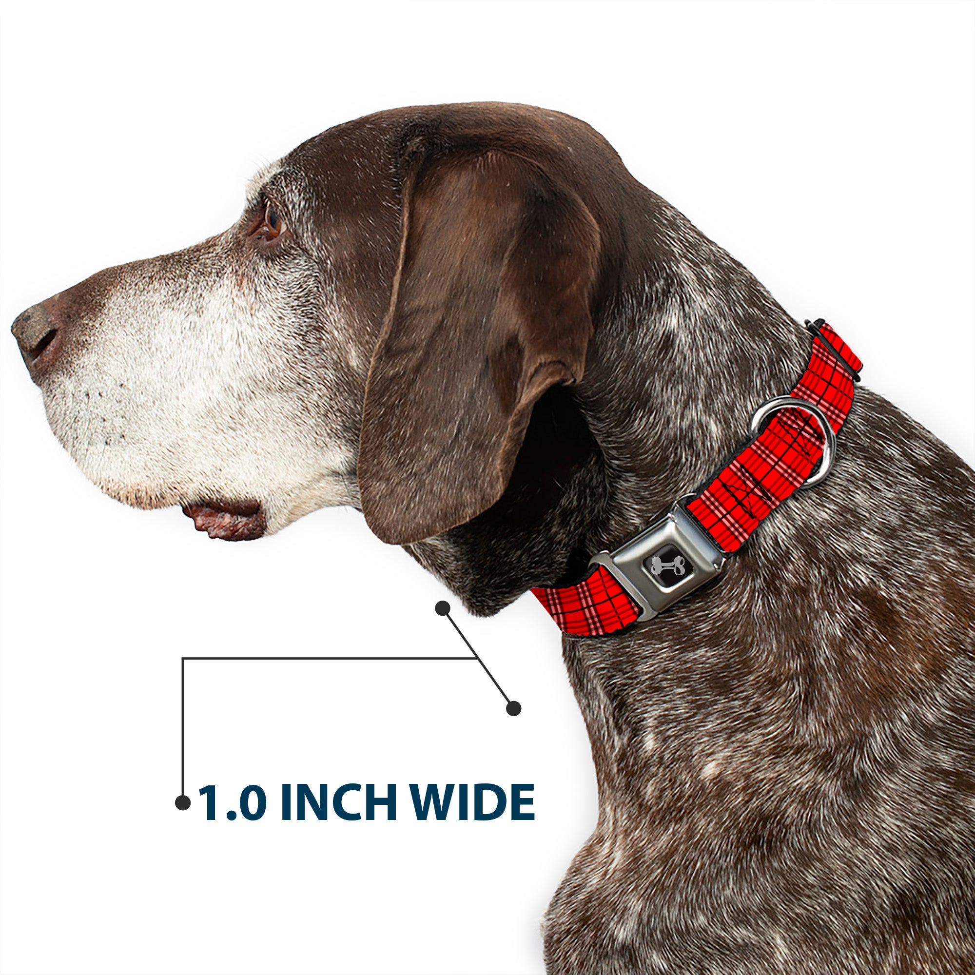 Dog Bone Seatbelt Buckle Collar - Plaid Red Seatbelt Buckle Collars Buckle-Down