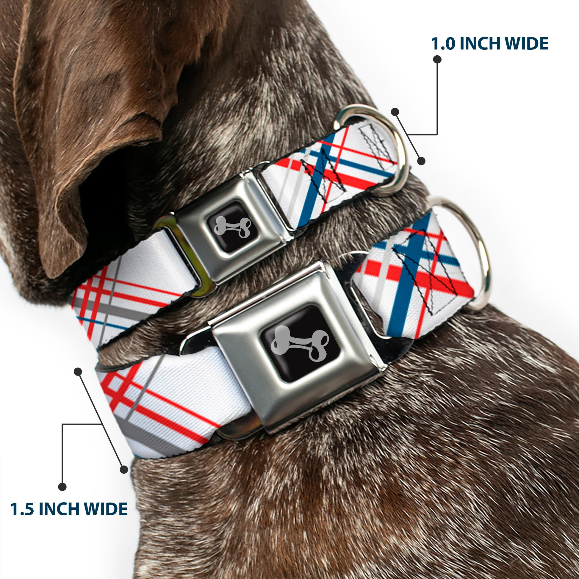 Dog Bone Seatbelt Buckle Collar - Plaid X White/Red/Turquoise/Gray Seatbelt Buckle Collars Buckle-Down