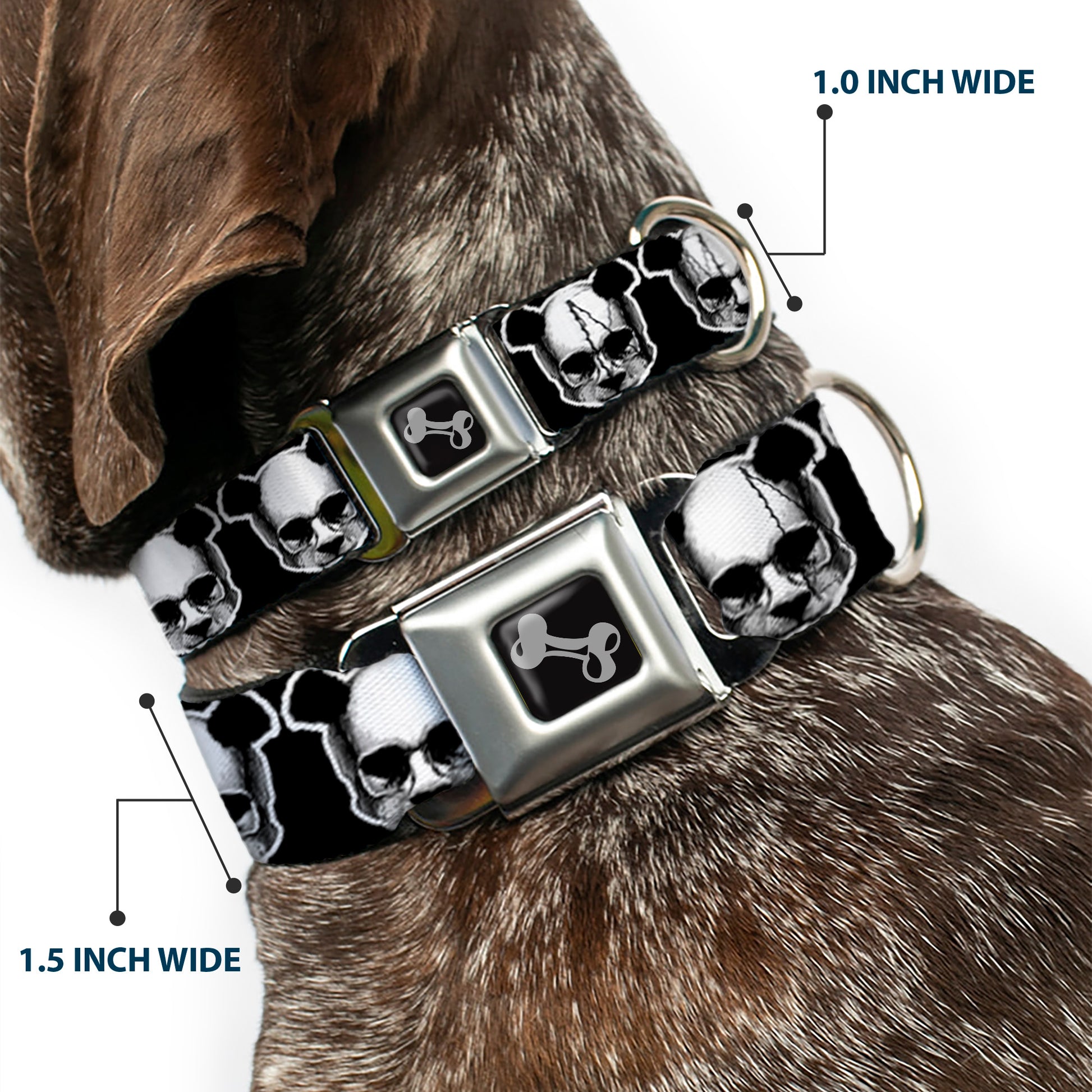 Dog Bone Seatbelt Buckle Collar - Panda Skulls Seatbelt Buckle Collars Buckle-Down