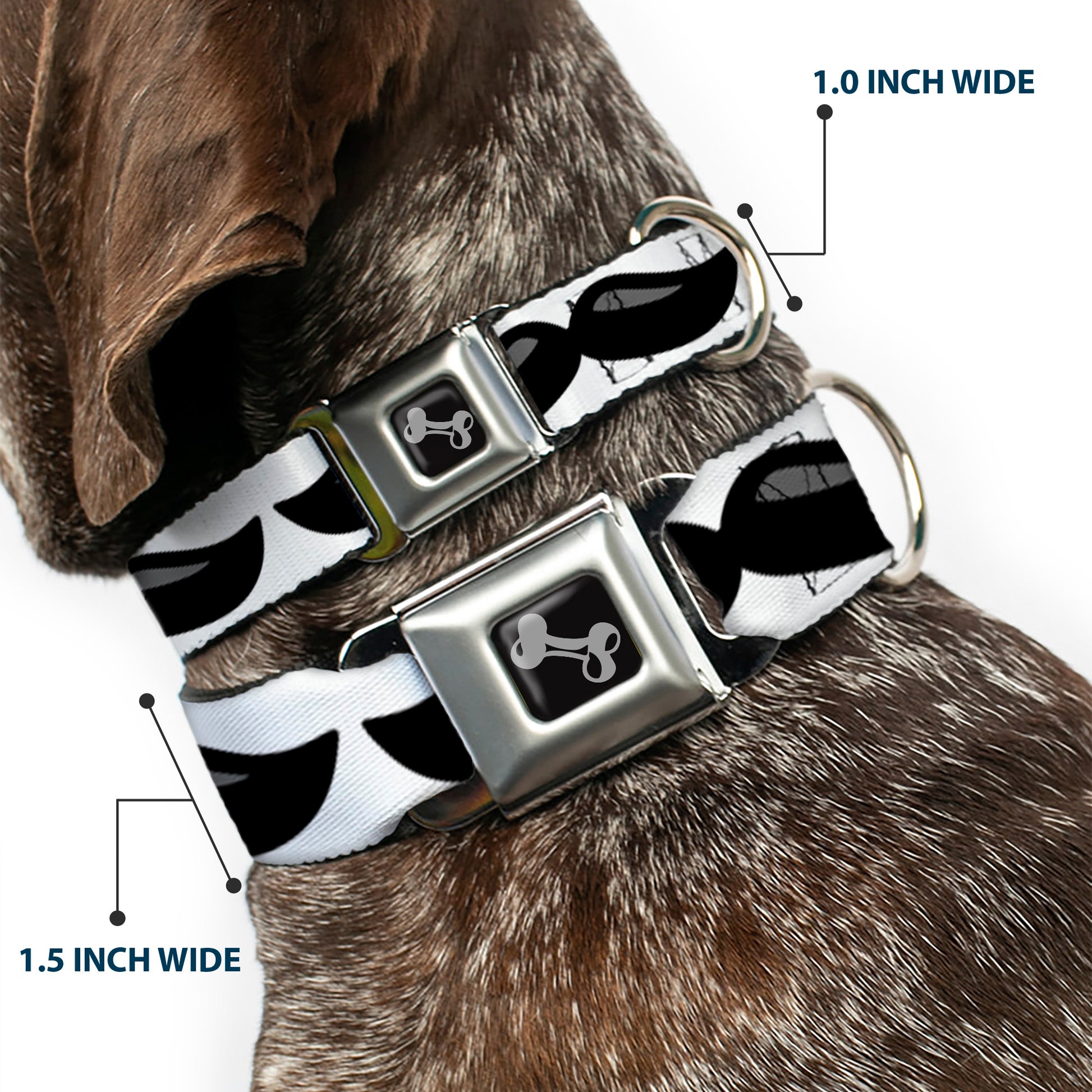 Dog Bone Black/Silver Seatbelt Buckle Collar - Plastic Mustache White/Black Seatbelt Buckle Collars Buckle-Down