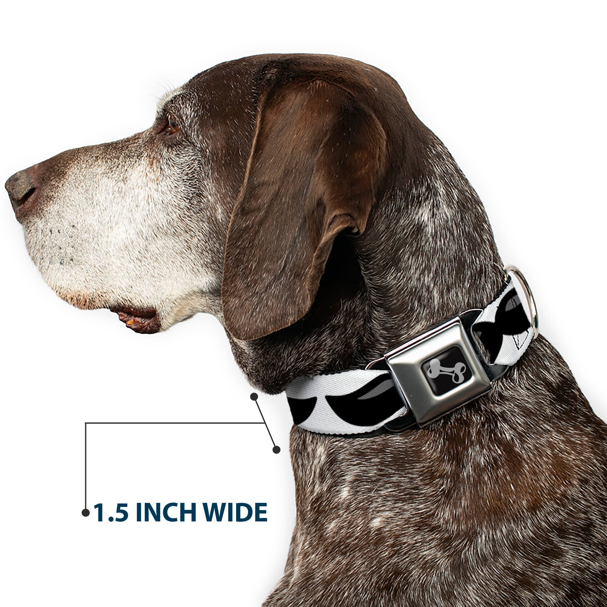 Dog Bone Black/Silver Seatbelt Buckle Collar - Plastic Mustache White/Black Seatbelt Buckle Collars Buckle-Down
