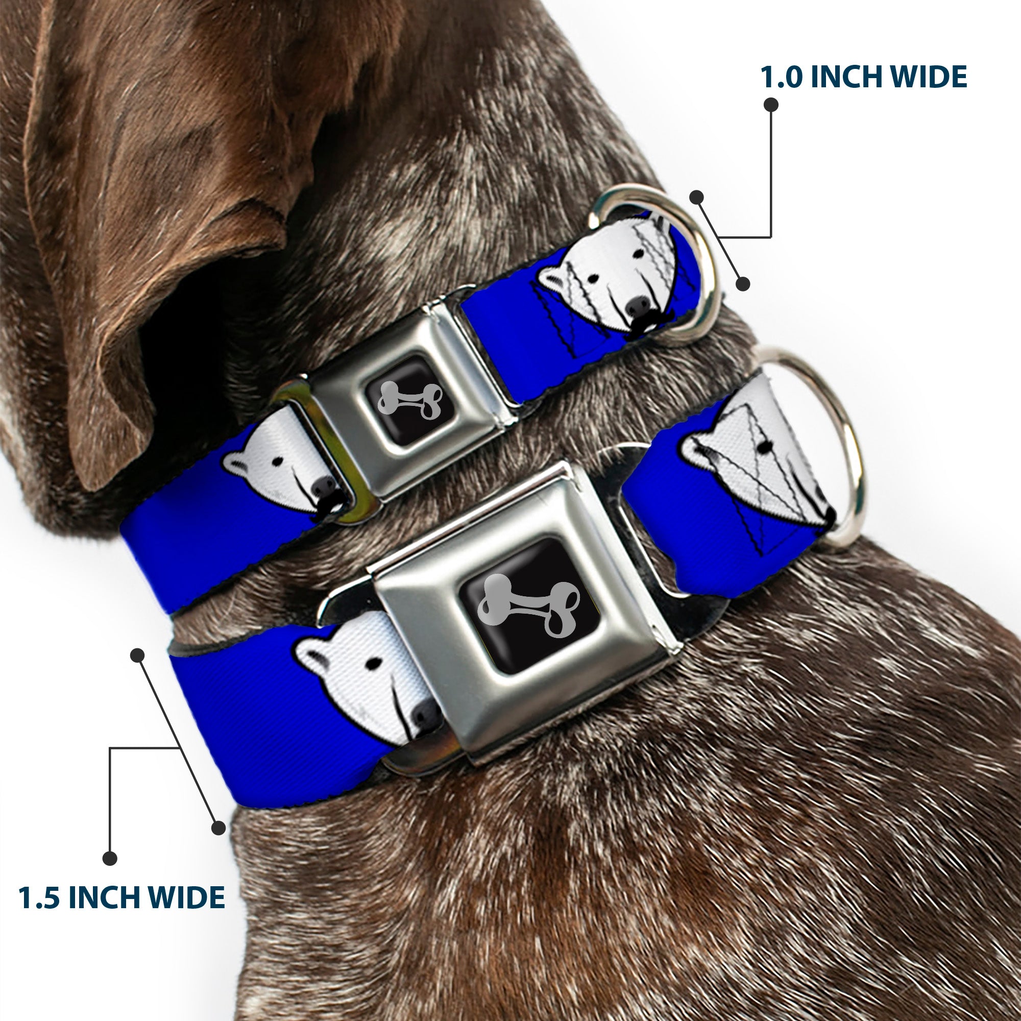 Dog Bone Seatbelt Buckle Collar - Polar Bear w/Mustache Royal Seatbelt Buckle Collars Buckle-Down