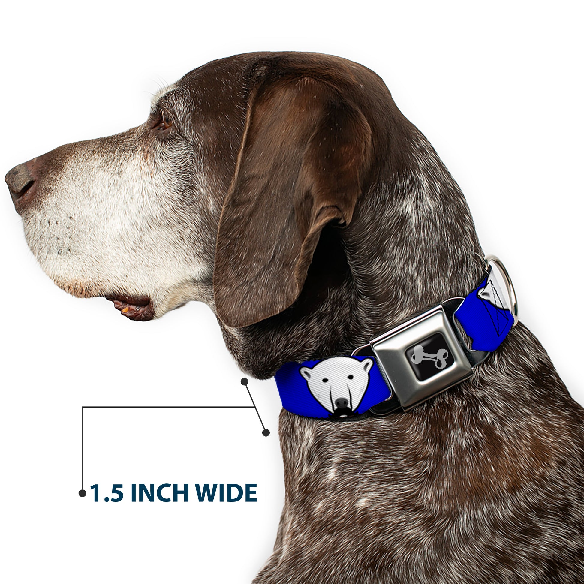 Dog Bone Seatbelt Buckle Collar - Polar Bear w/Mustache Royal Seatbelt Buckle Collars Buckle-Down