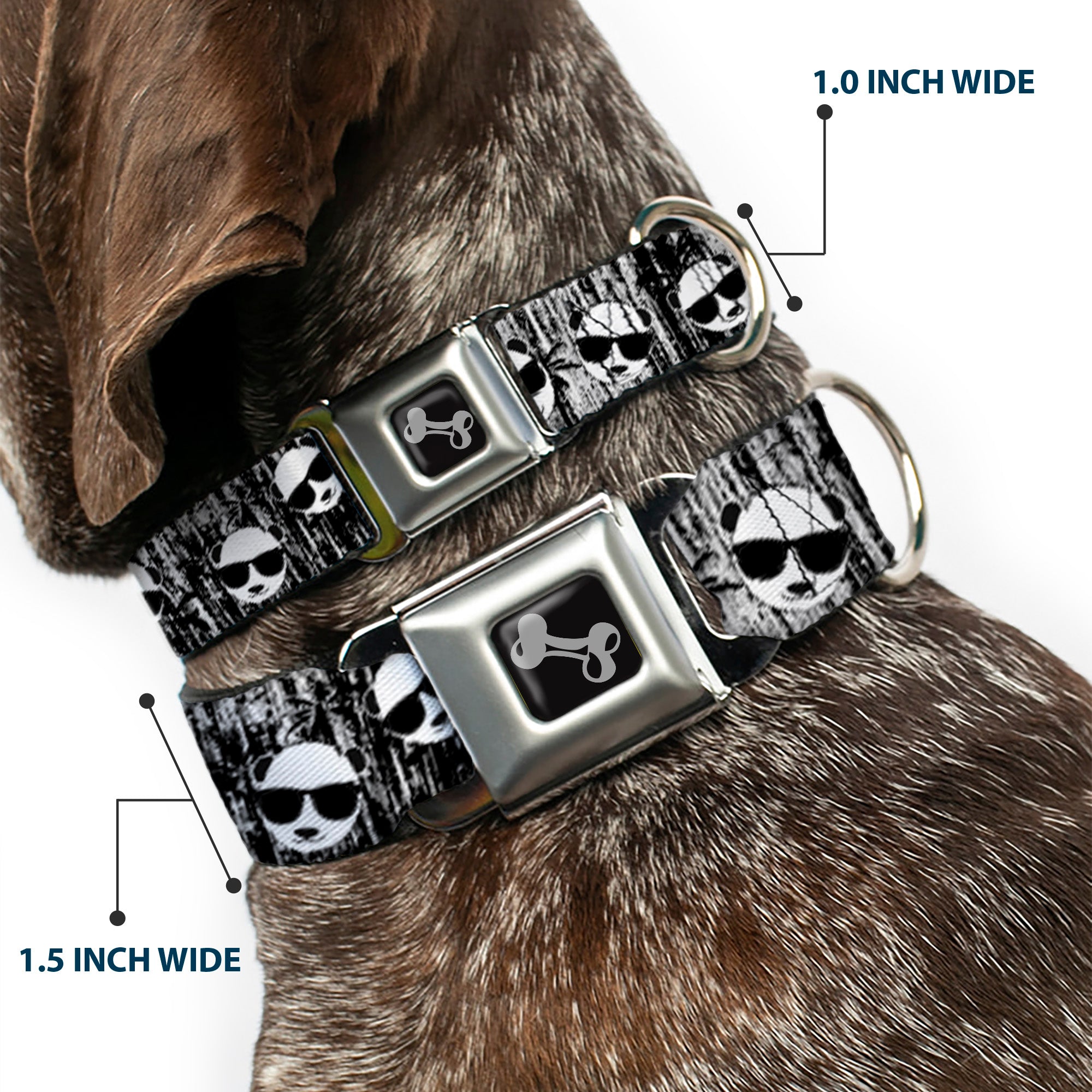 Dog Bone Seatbelt Buckle Collar - Panda w/Sunglasses & Palm Trees Seatbelt Buckle Collars Buckle-Down