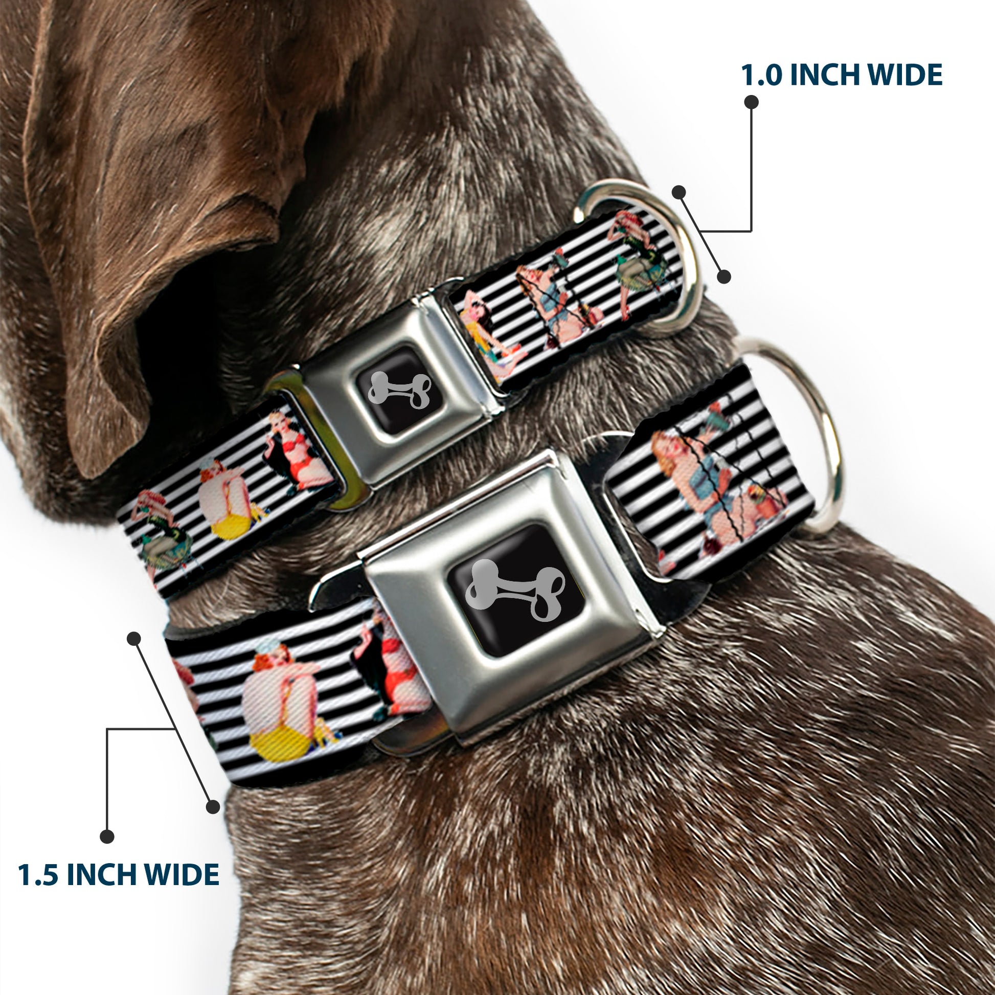 Dog Bone Seatbelt Buckle Collar - Pin Up Girl Poses Stripe Black/White Seatbelt Buckle Collars Buckle-Down