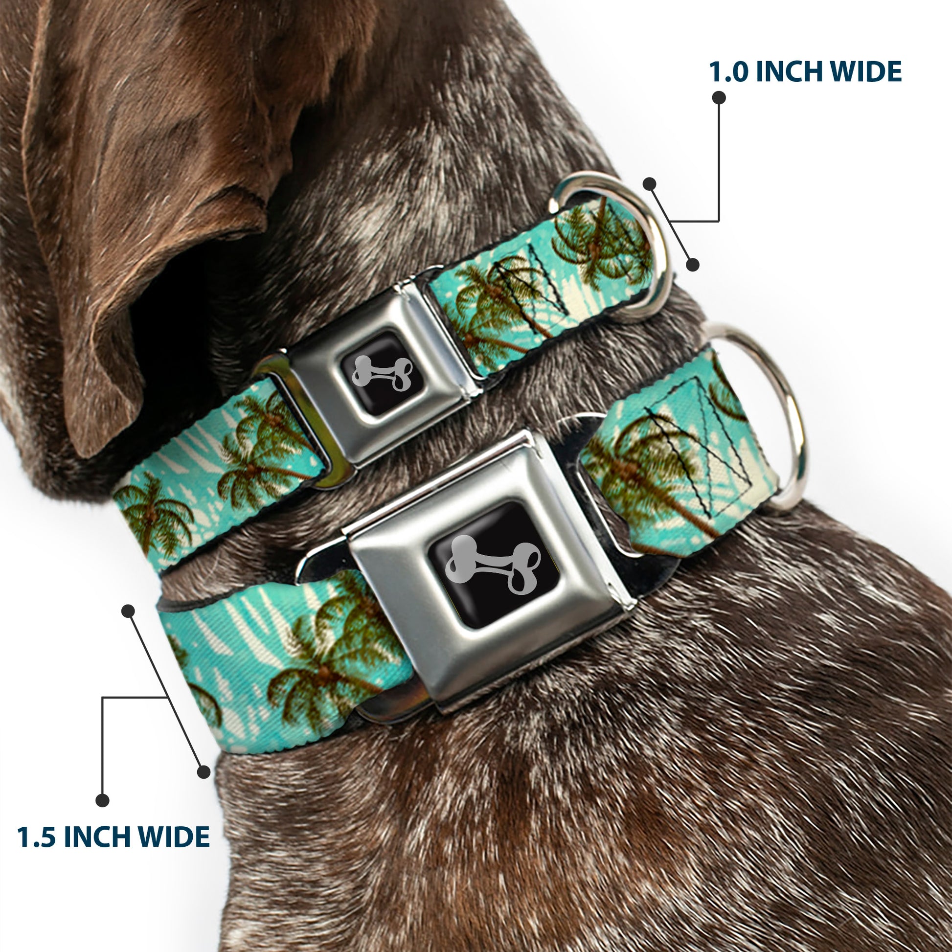 Dog Bone Black/Silver Seatbelt Buckle Collar - Palm Trees Swaying Tan/Teal Seatbelt Buckle Collars Buckle-Down