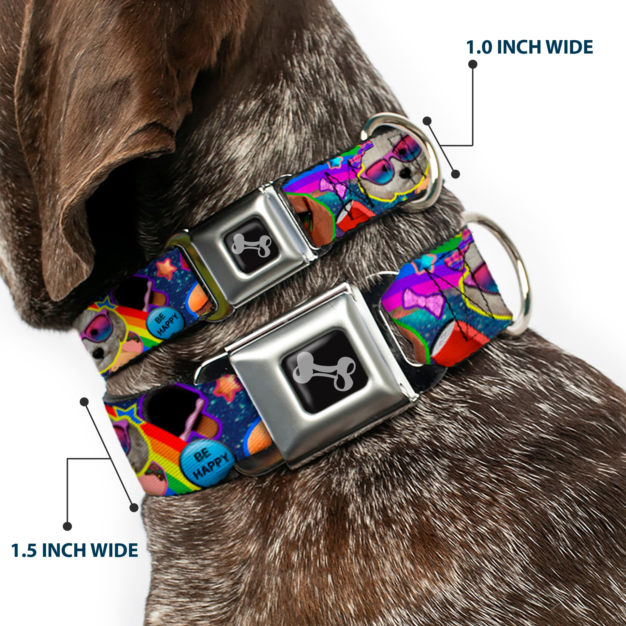 Dog Bone Seatbelt Buckle Collar - Pets & Snacks Rainbow Collage Seatbelt Buckle Collars Buckle-Down