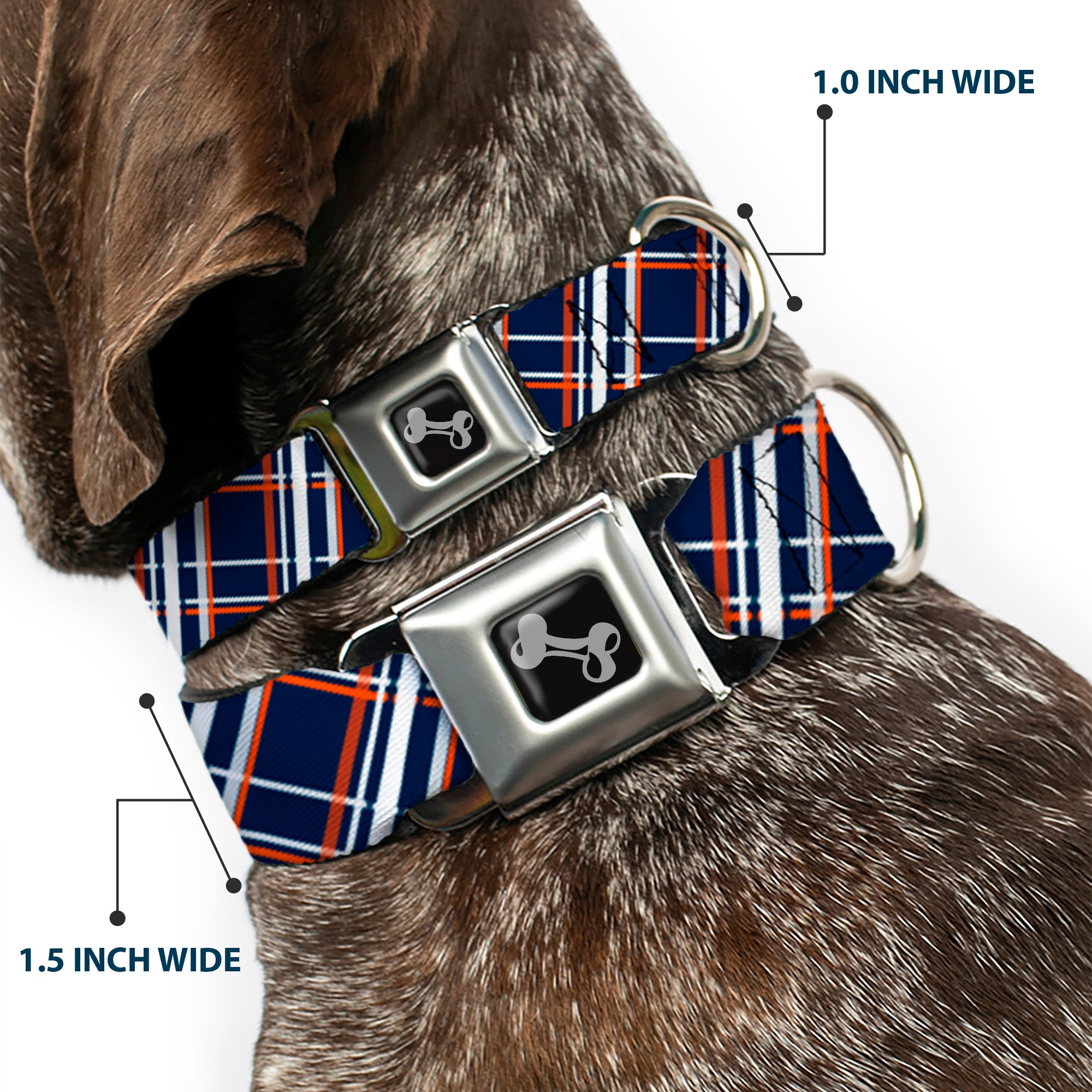 Dog Bone Seatbelt Buckle Collar - Plaid X2 Navy/White/Orange Seatbelt Buckle Collars Buckle-Down