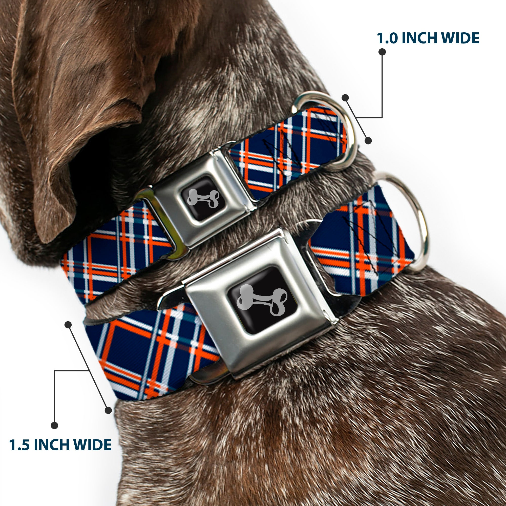 Dog Bone Seatbelt Buckle Collar - Plaid X3 Navy/Orange/White Seatbelt Buckle Collars Buckle-Down