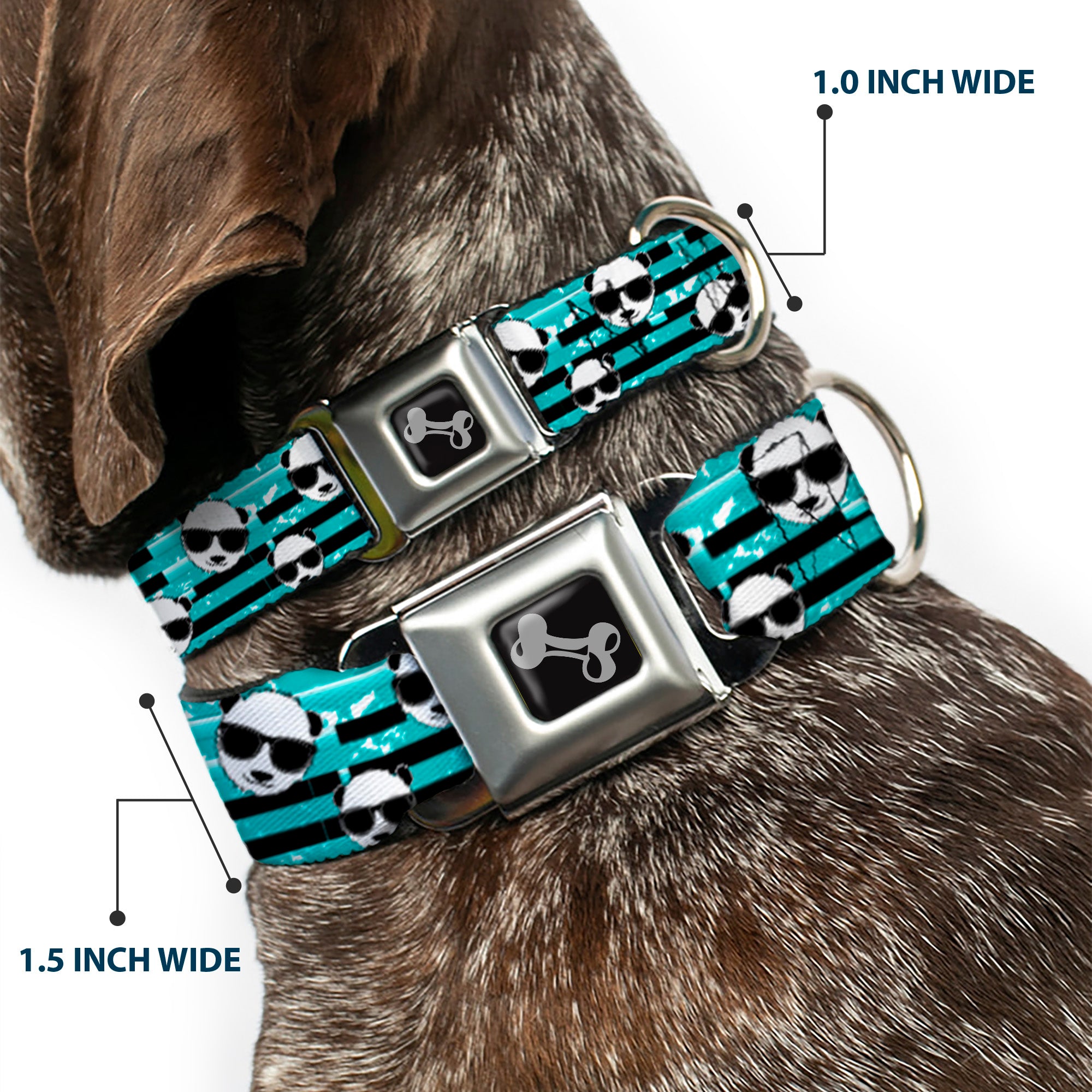 Dog Bone Seatbelt Buckle Collar - Multi Panda w/Sunglasses Stripe Turquoise/Black Seatbelt Buckle Collars Buckle-Down