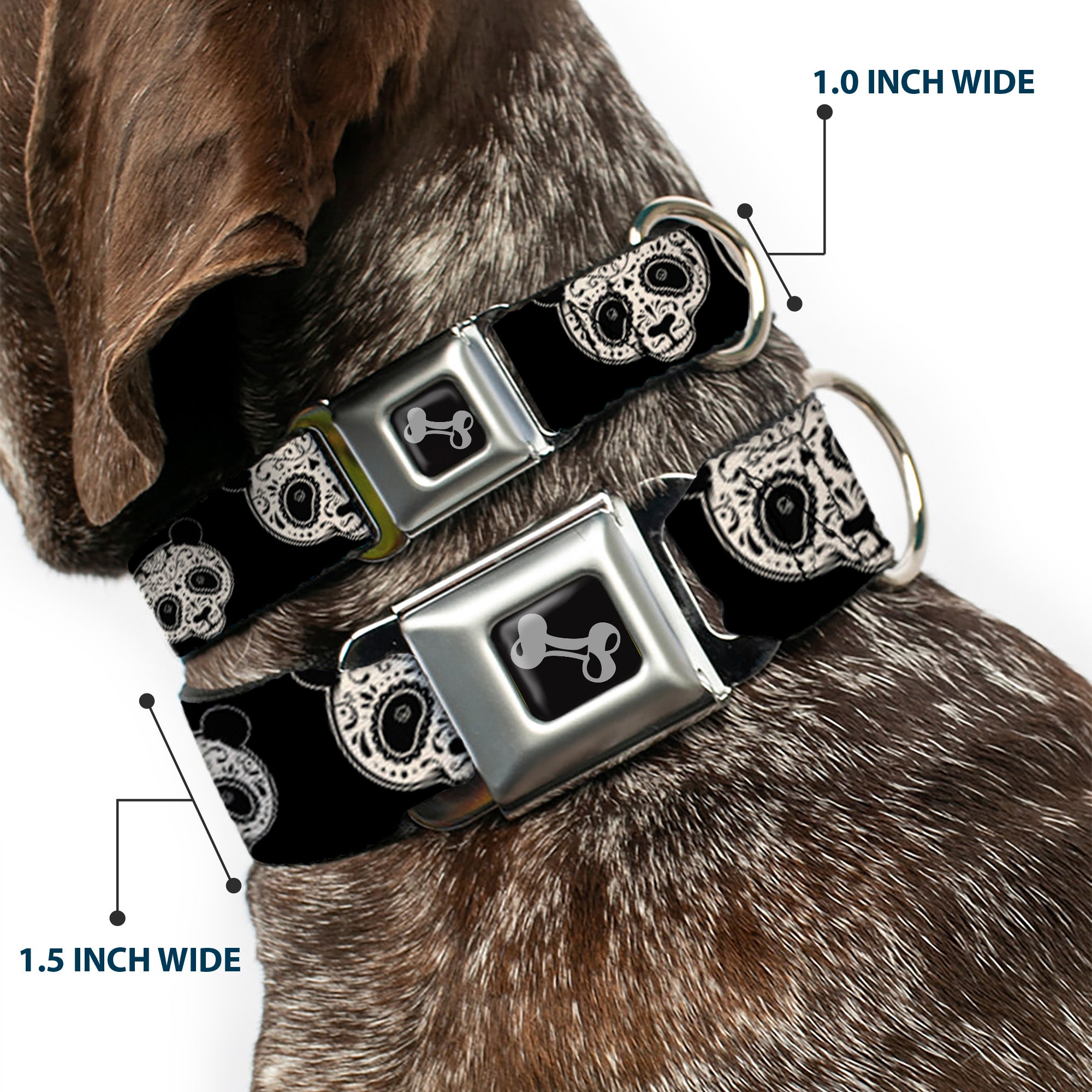 Dog Bone Seatbelt Buckle Collar - Panda Bear Sugar Skull Black/White Seatbelt Buckle Collars Buckle-Down