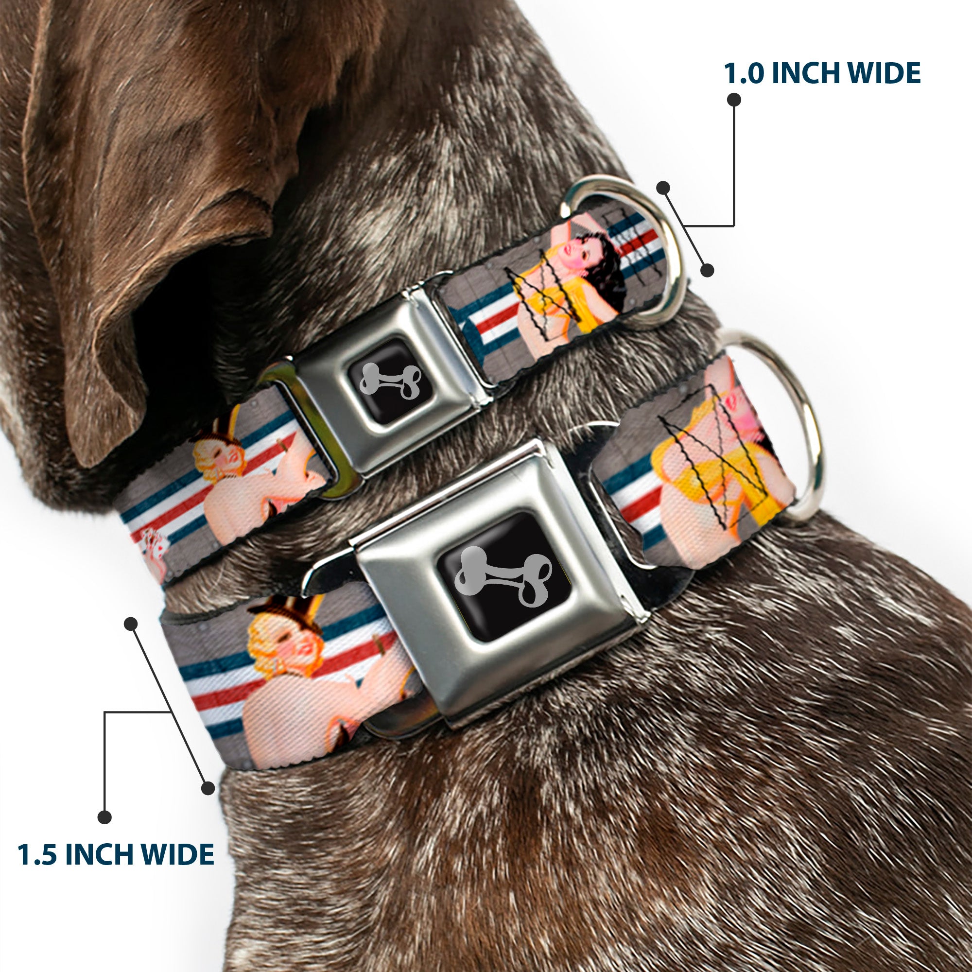 Dog Bone Seatbelt Buckle Collar - Pin Up Girl Poses CLOSE-UP Star & Stripes Gray/Blue/White/Red Seatbelt Buckle Collars Buckle-Down