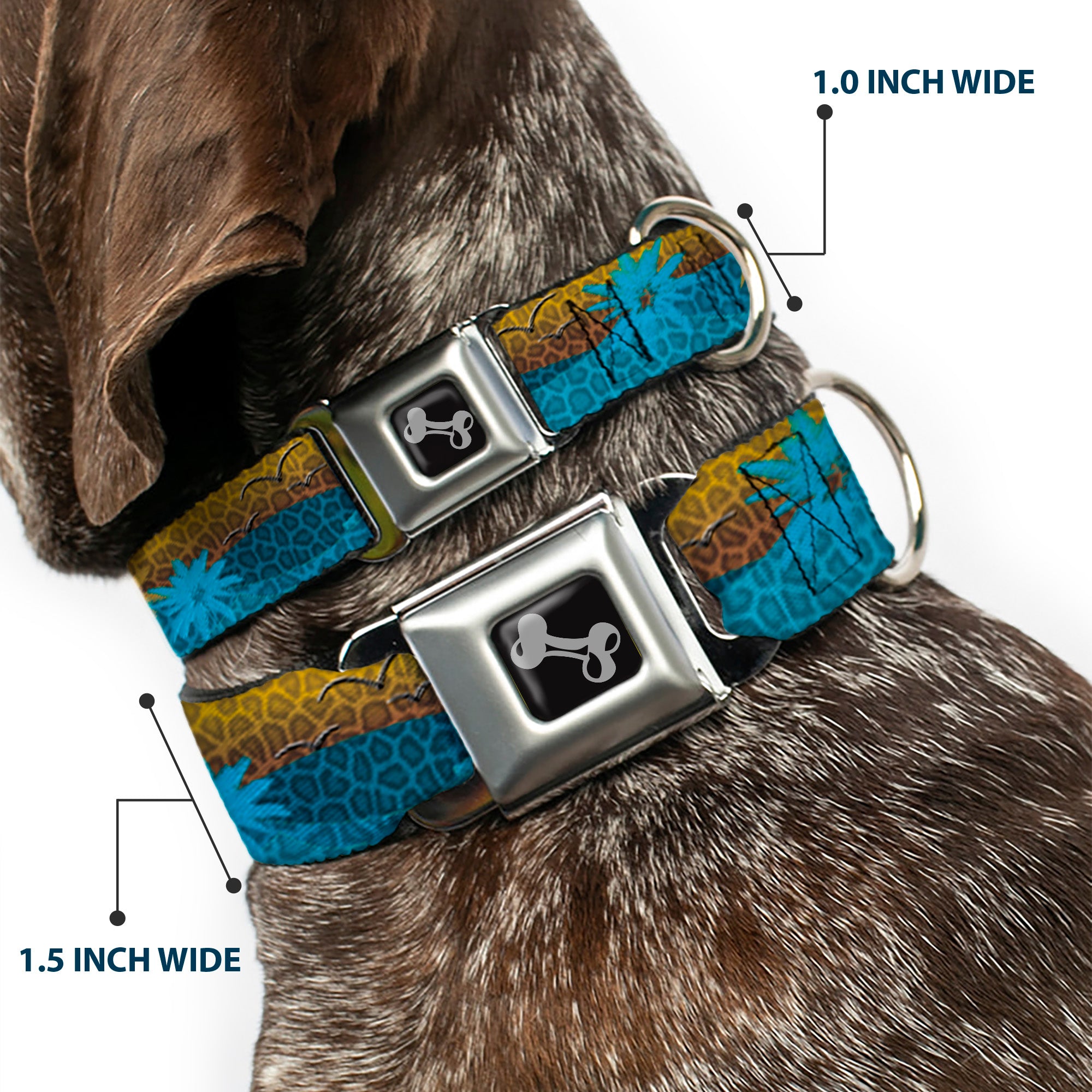 Dog Bone Seatbelt Buckle Collar - Palm Trees & Gulls Leopard Brown/Blue Seatbelt Buckle Collars Buckle-Down