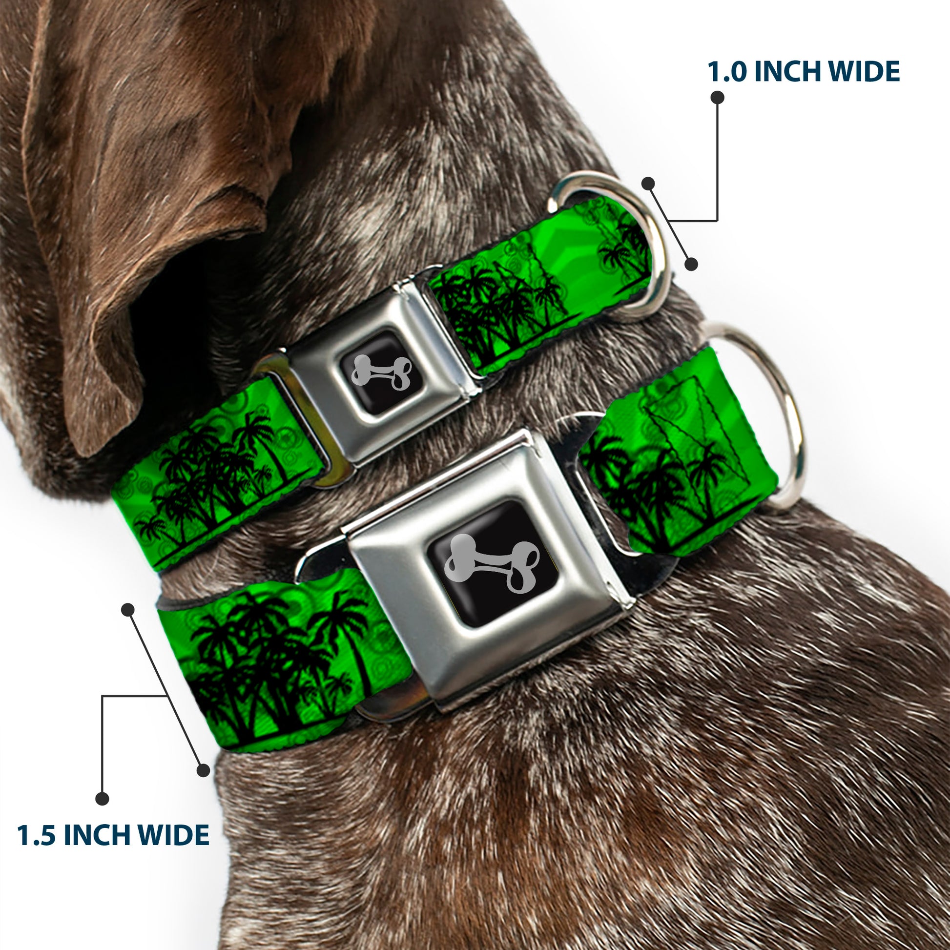 Dog Bone Seatbelt Buckle Collar - Palm Trees Greens/Black Seatbelt Buckle Collars Buckle-Down