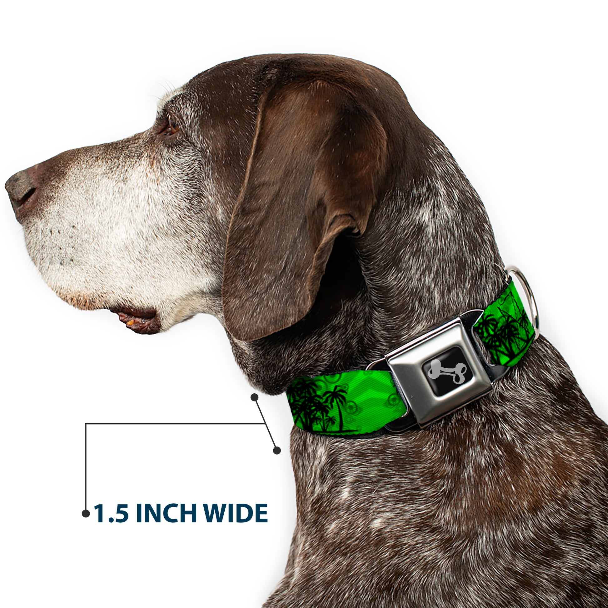 Dog Bone Seatbelt Buckle Collar - Palm Trees Greens/Black Seatbelt Buckle Collars Buckle-Down